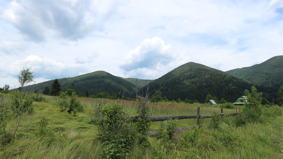 A serene countryside landscape features green rolling hills covered with dense trees under a partly cloudy sky. In the foreground, there is a wooden fence and a grass field with scattered bushes and small trees. A couple of small houses with green roofs are visible in the distance.
