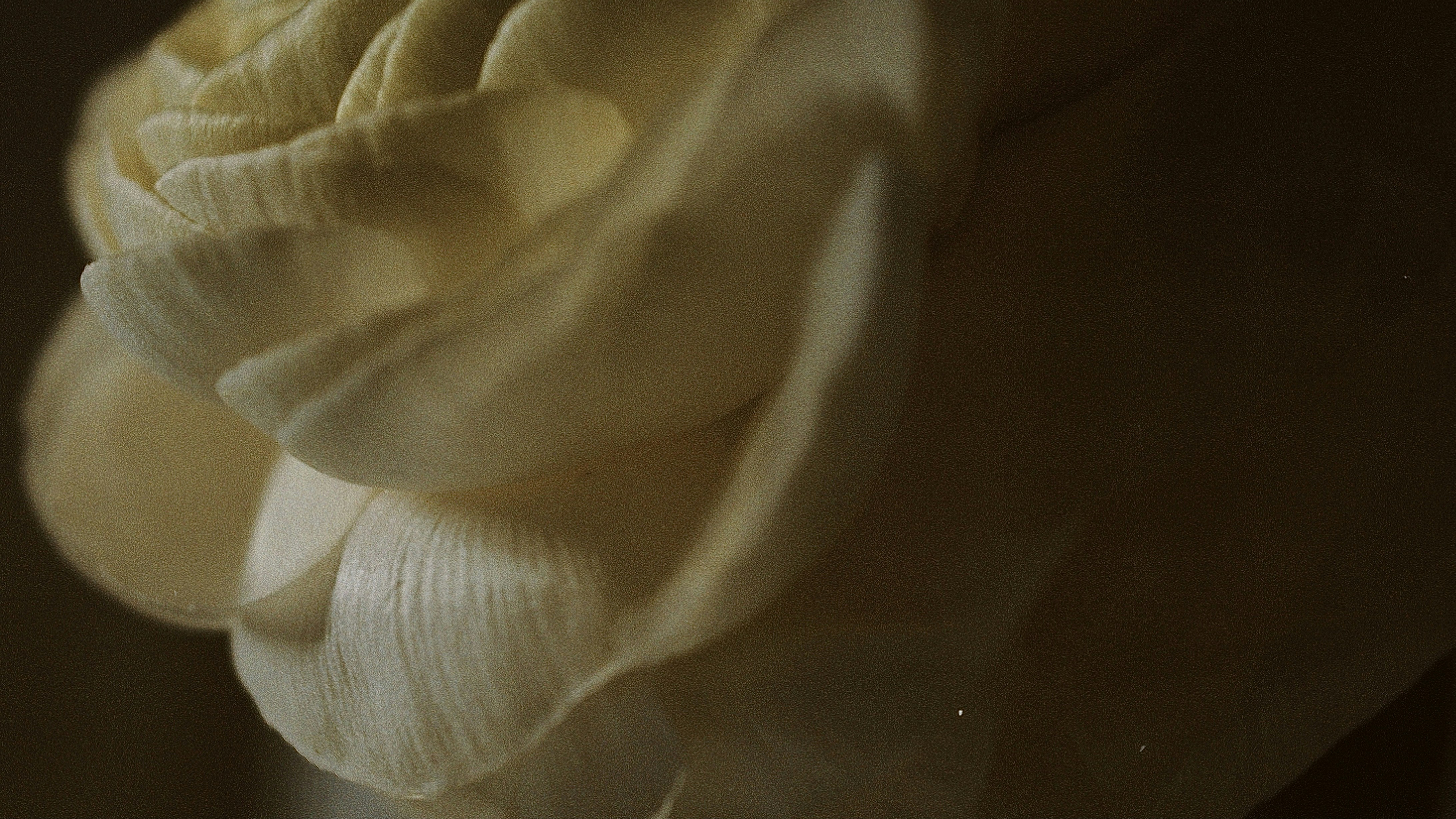 Dream support connection