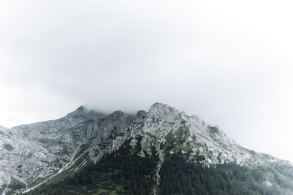 green trees on mountain under white sky during daytime