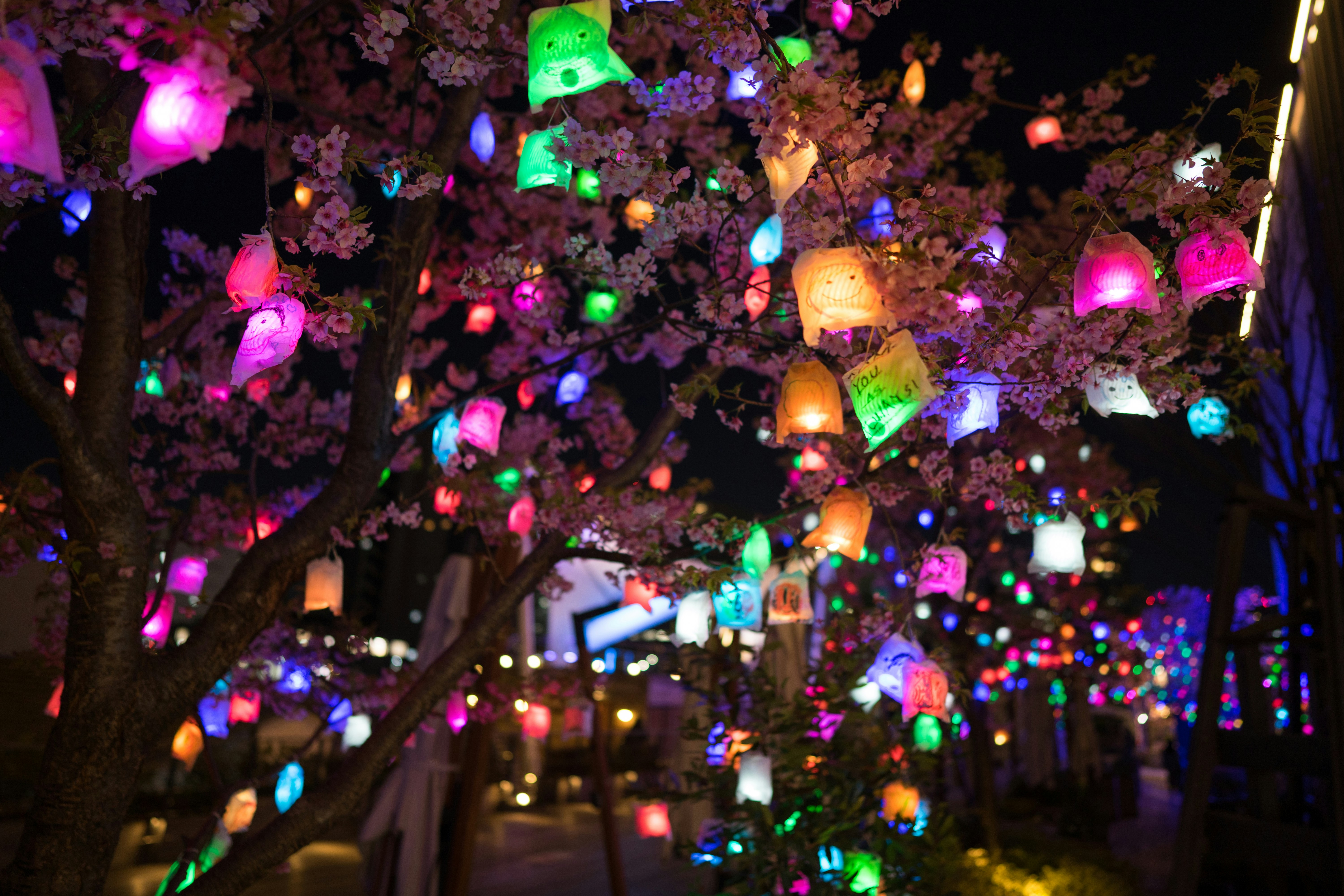 Shinagawa Explored: Fusion of Business Vibrancy and Artistic Retreats