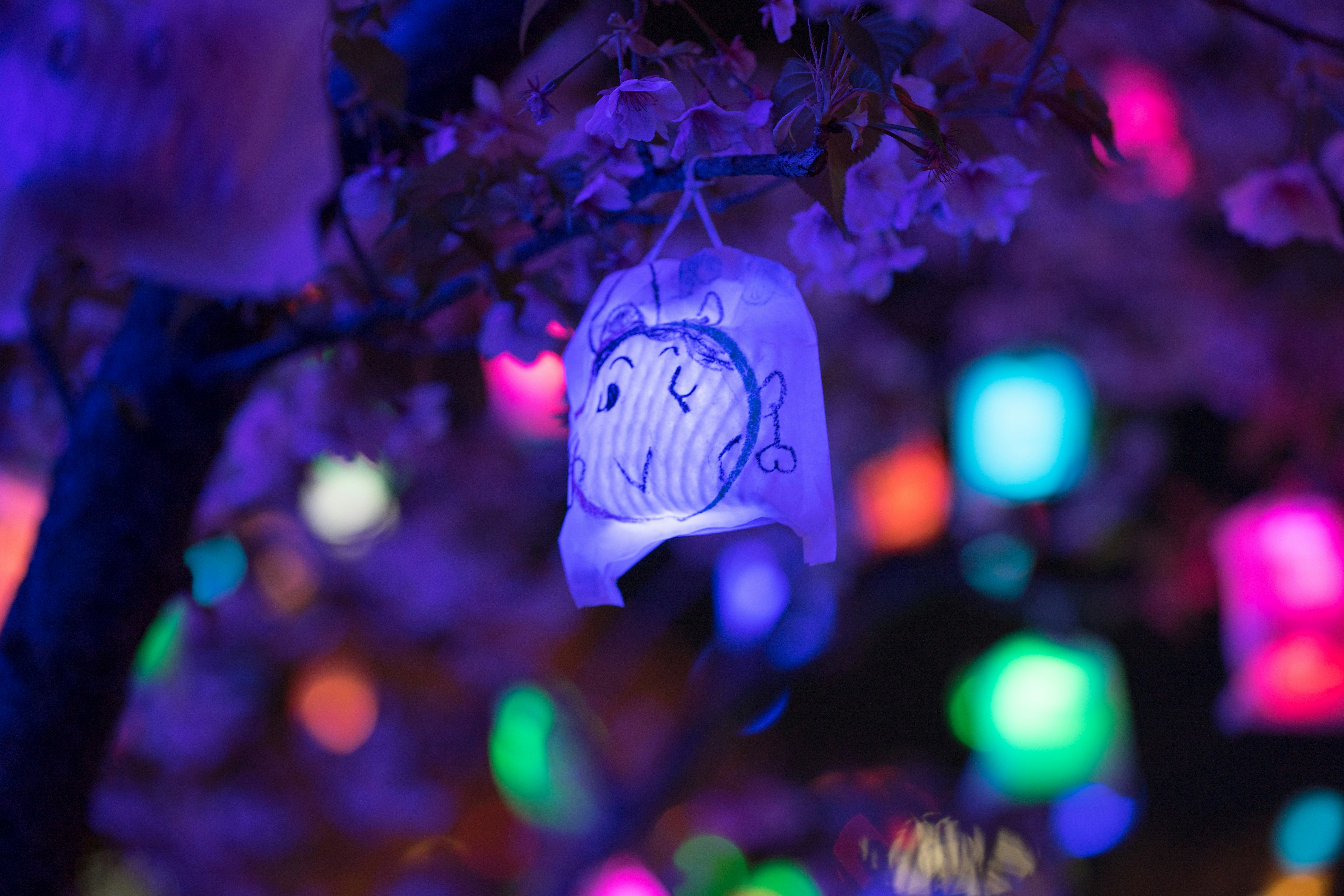 The Cherry Blossoms are the ′′ Hikari no fruit ′′ where participants draw ′′ smile ′′ in the fruit bag and put a LED light inside the tiny bag.