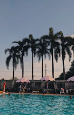 A serene outdoor pool surrounded by palm trees under a clear blue sky.