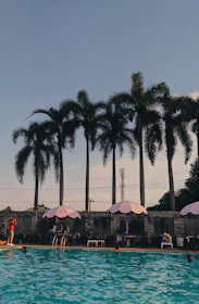 A serene outdoor pool surrounded by palm trees under a clear blue sky.