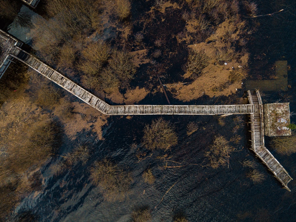 aerial view of white bridge in the middle of forest
