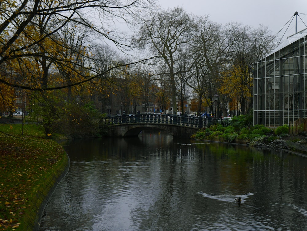 bridge over river between bare trees