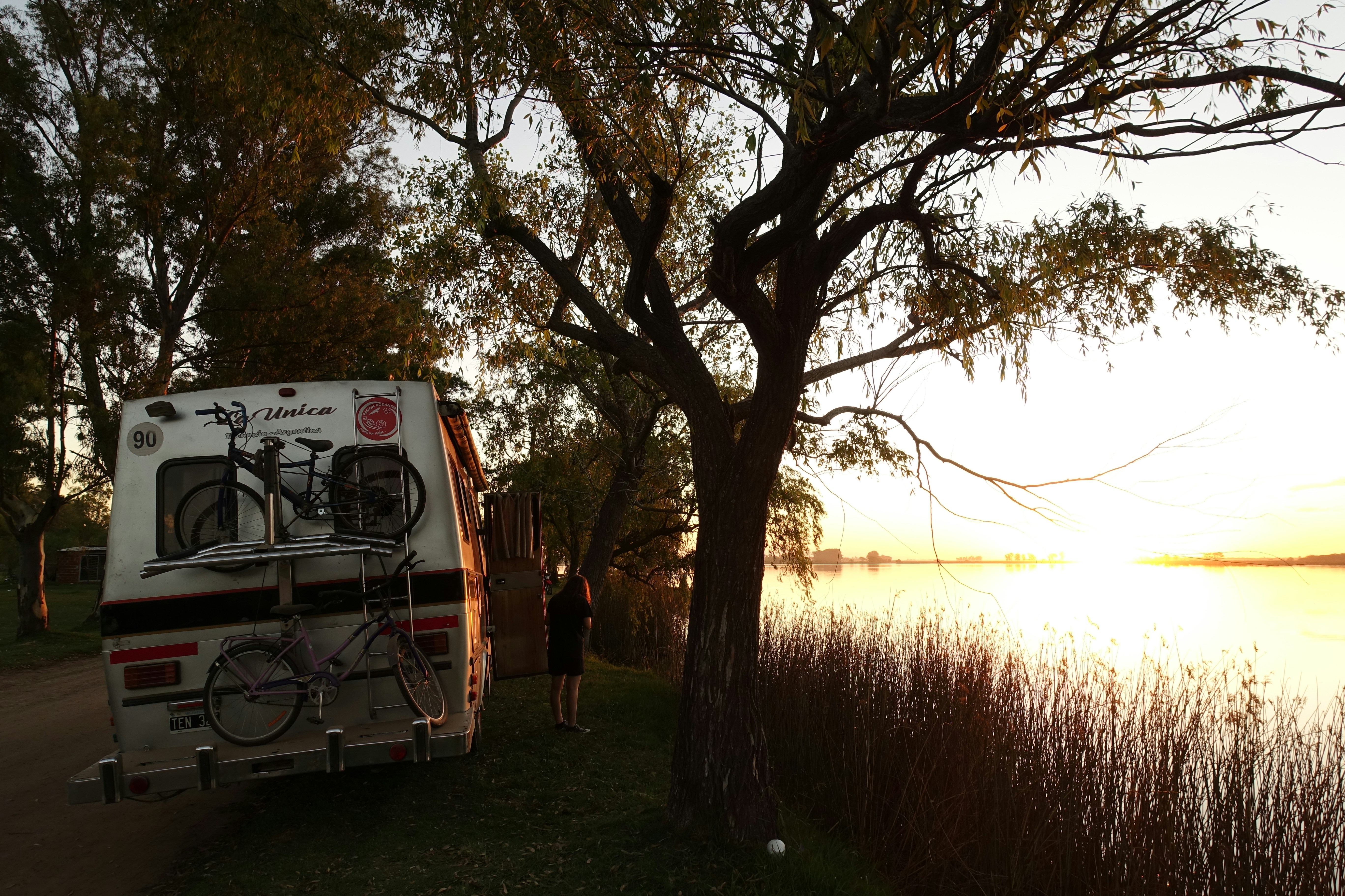 white and black bus near green trees during daytime
