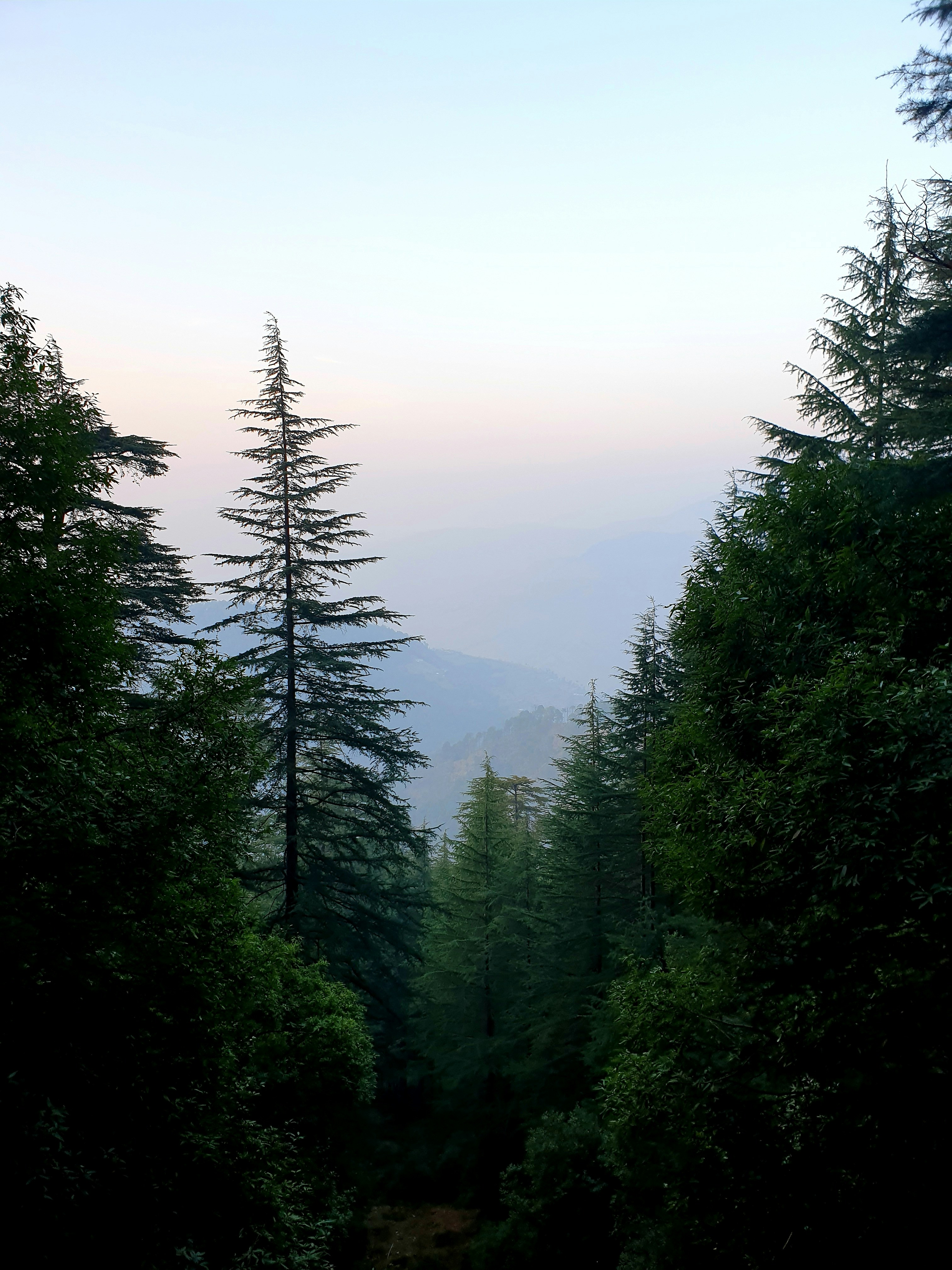 Photo by anujchauhan