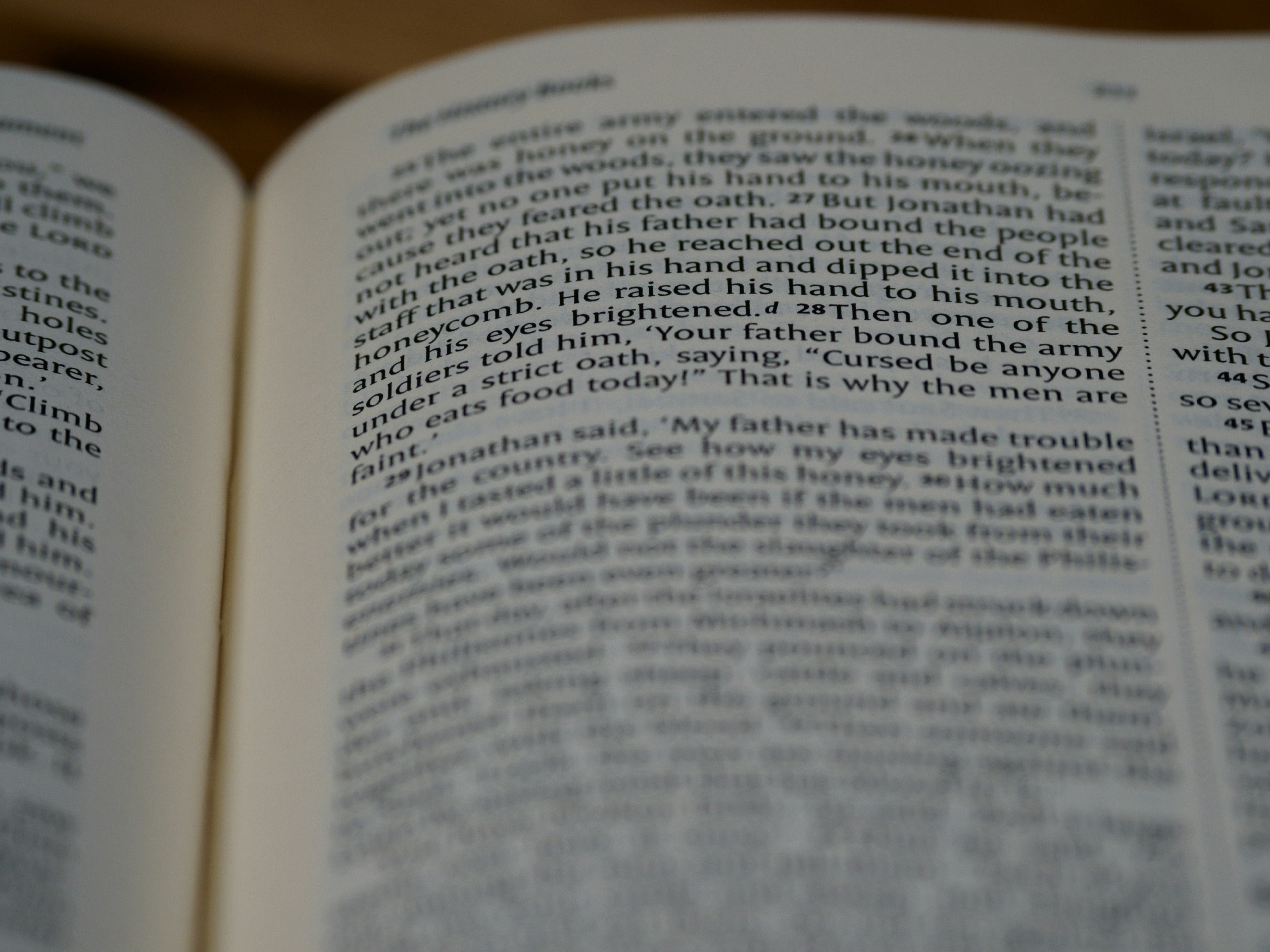 Photo by brett_jordan