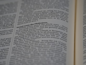 A close-up of the open pages of a book, with text focused on a passage titled 'Israel routs the Philistines'. The text is clear and mostly printed in black, with some headings in bold.