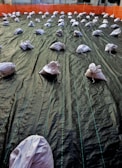 A large area is covered with a dark tarp material, held down by multiple white sandbags. The tarp has visible seams and lines running parallel across its length. The sandbags are evenly distributed in rows and the background features an orange safety barrier surrounding the area.
