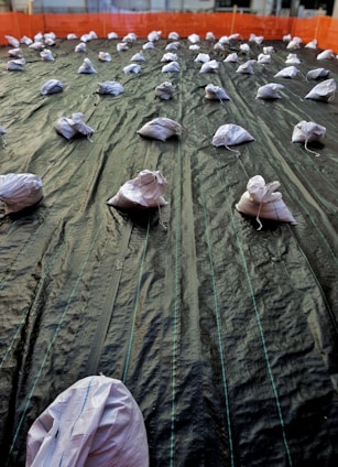 A large area is covered with a dark tarp material, held down by multiple white sandbags. The tarp has visible seams and lines running parallel across its length. The sandbags are evenly distributed in rows and the background features an orange safety barrier surrounding the area.