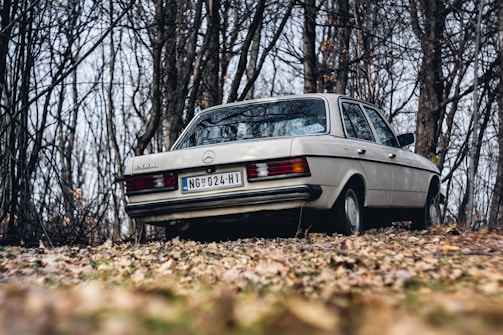 A vintage Mercedes-Benz car parked in a forested area, surrounded by leafless trees and fallen leaves covering the ground. The car is beige and appears well-maintained, with a license plate visible.