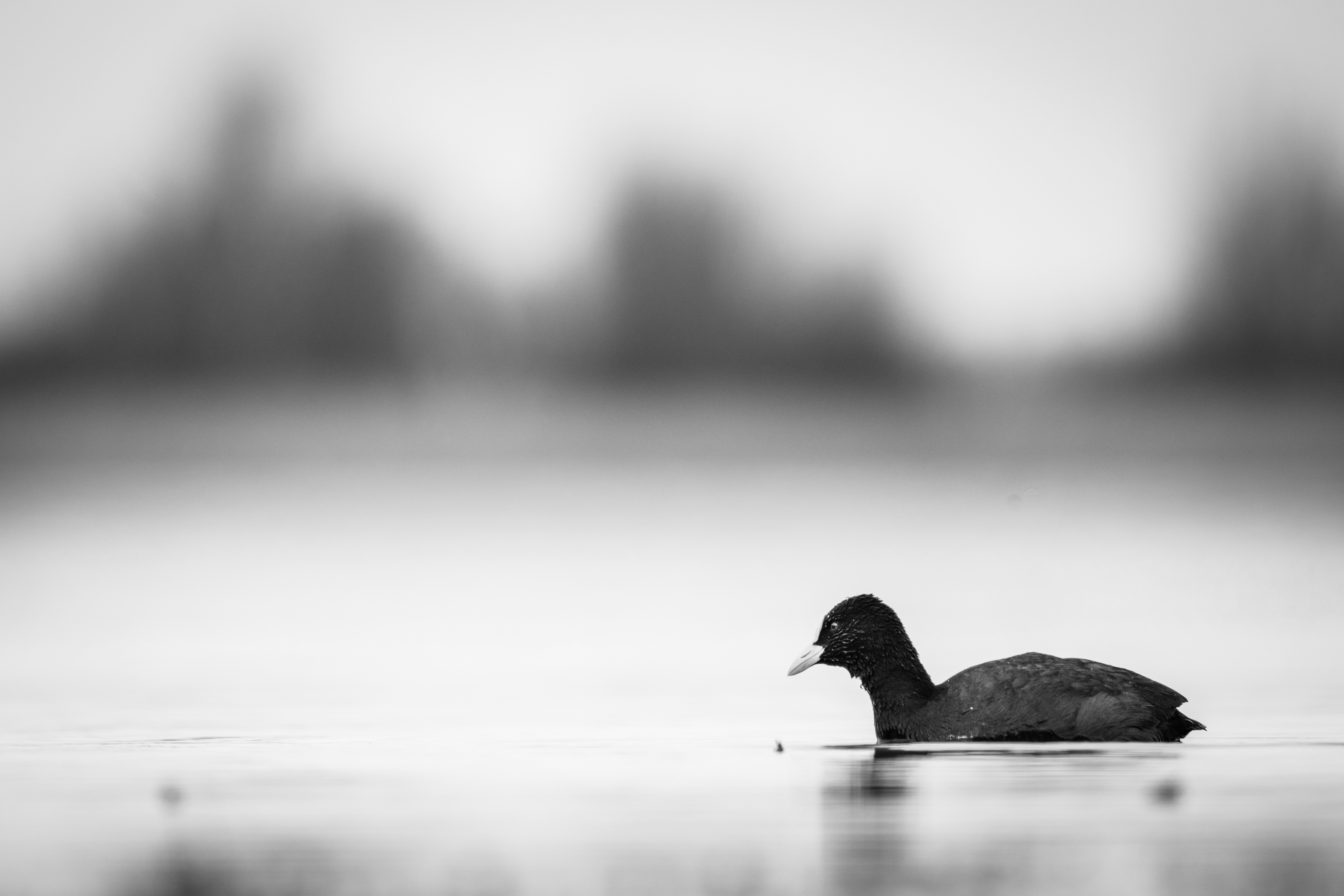 Photo by vincentvanzalinge