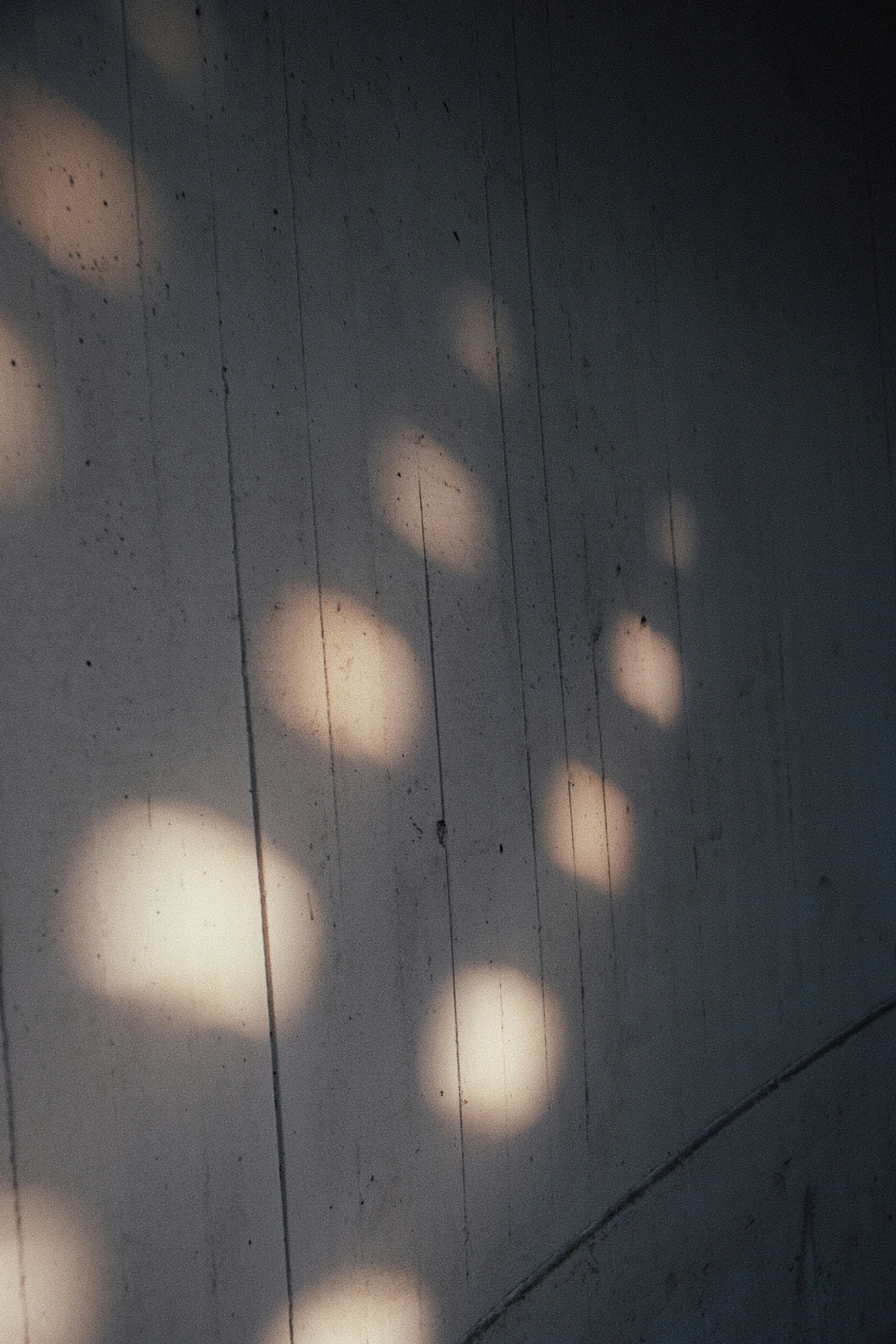 Photo by moritz_photography