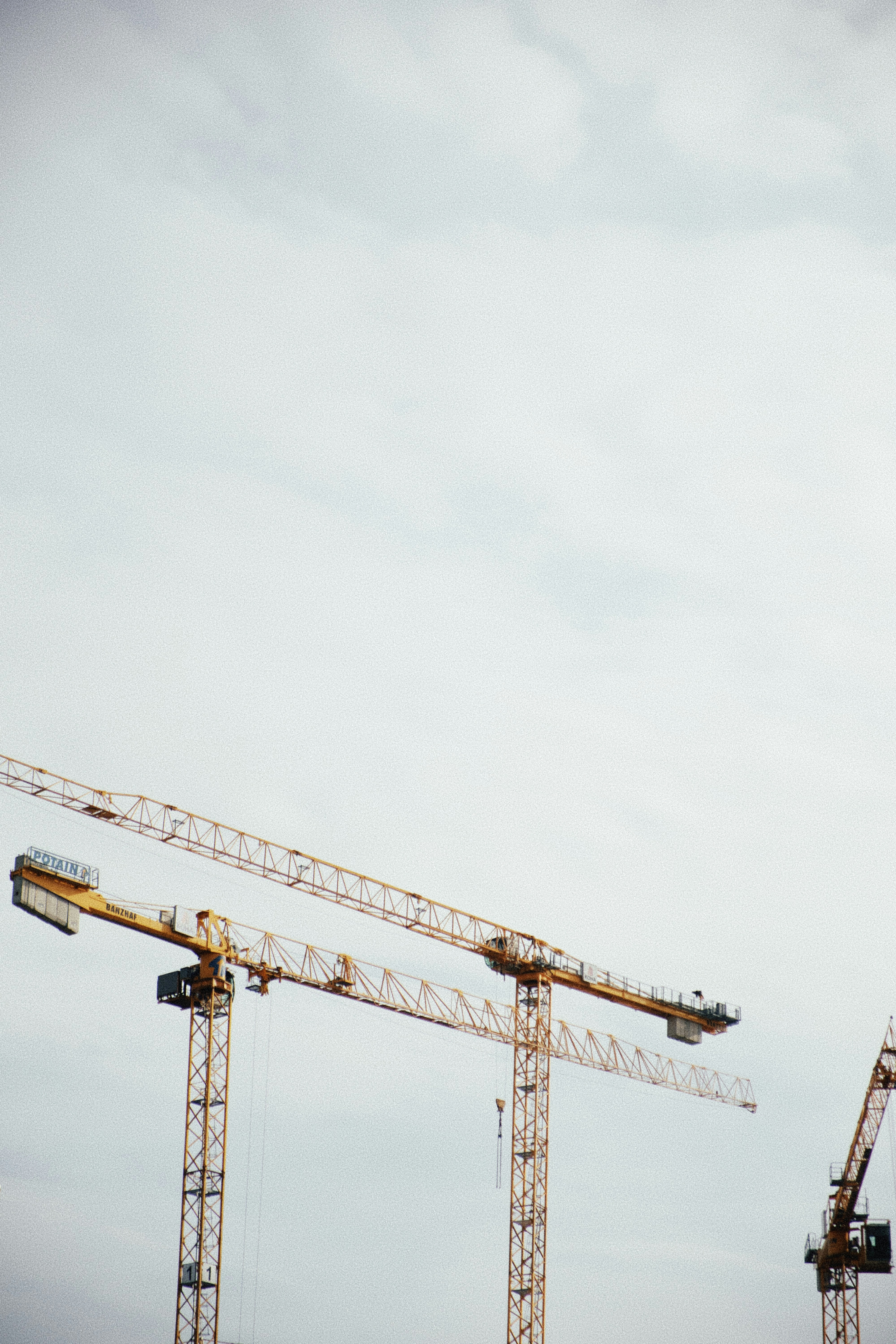 Photo by moritz_photography