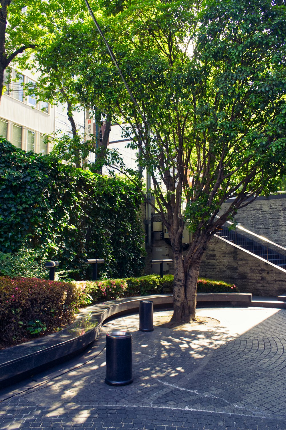 green tree near white concrete building during daytime