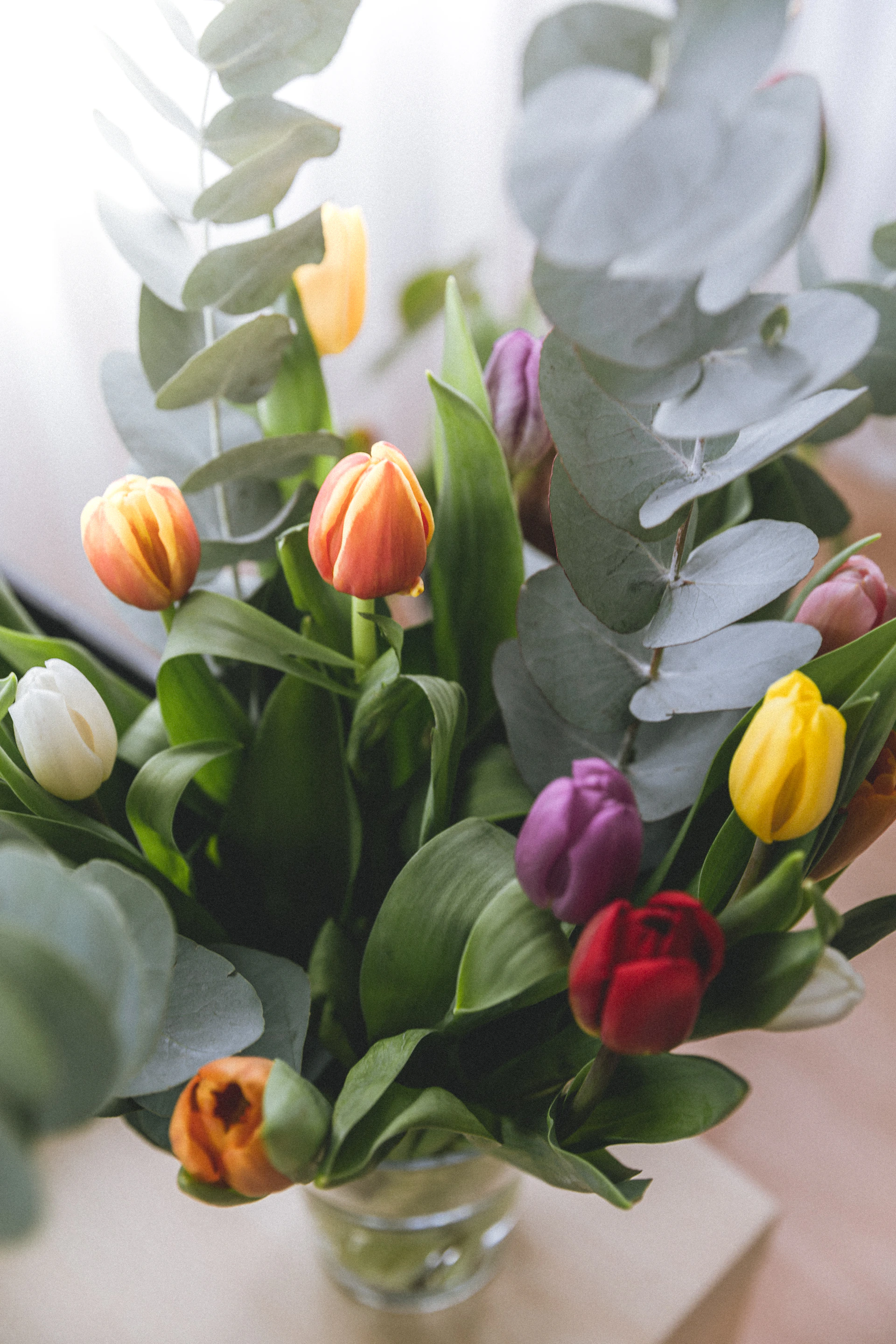 An elegant arrangement of bright tulips and eucalyptus leaves displayed in a sleek modern vase on a clean white surface.
