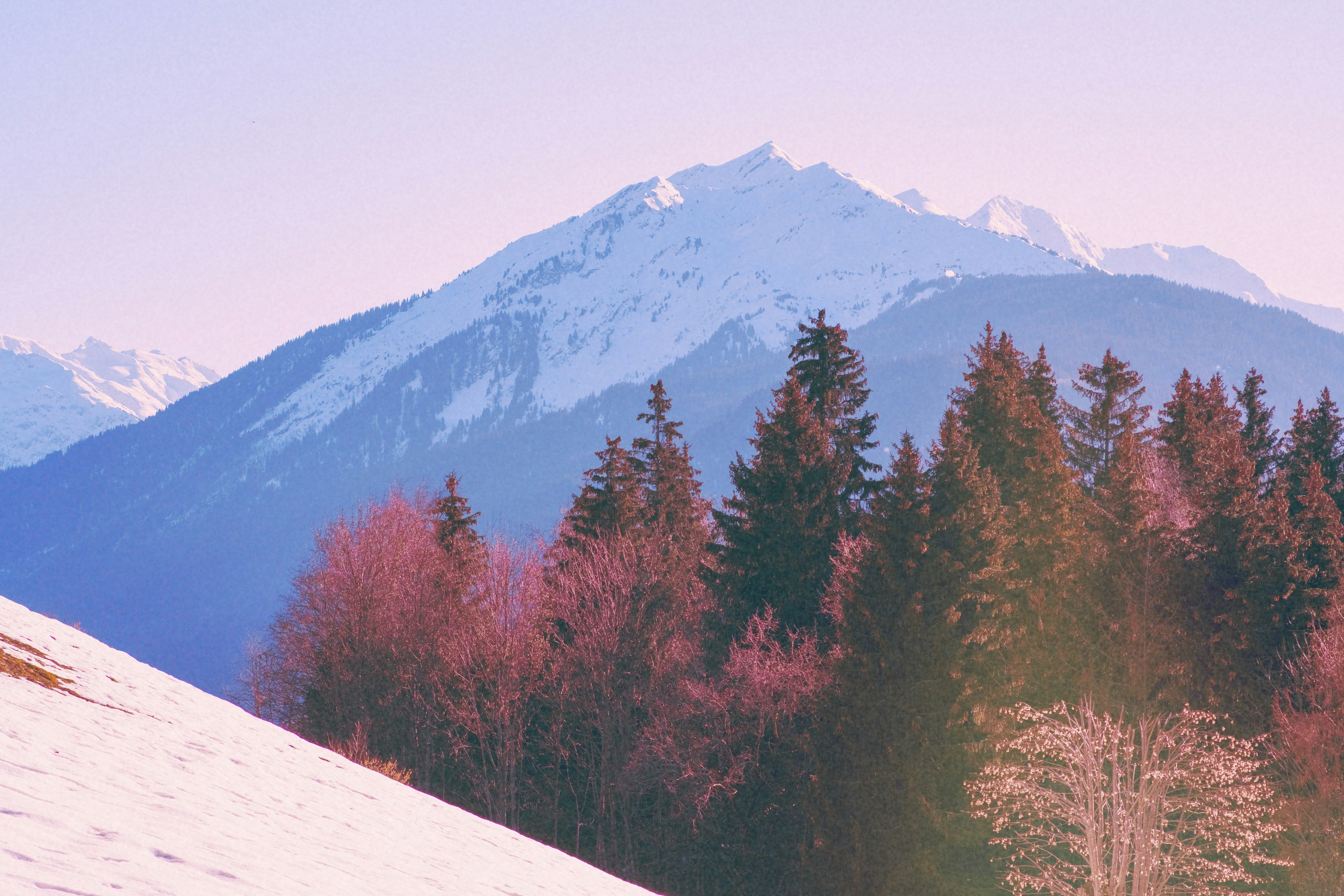 Tesgin's Current Focus