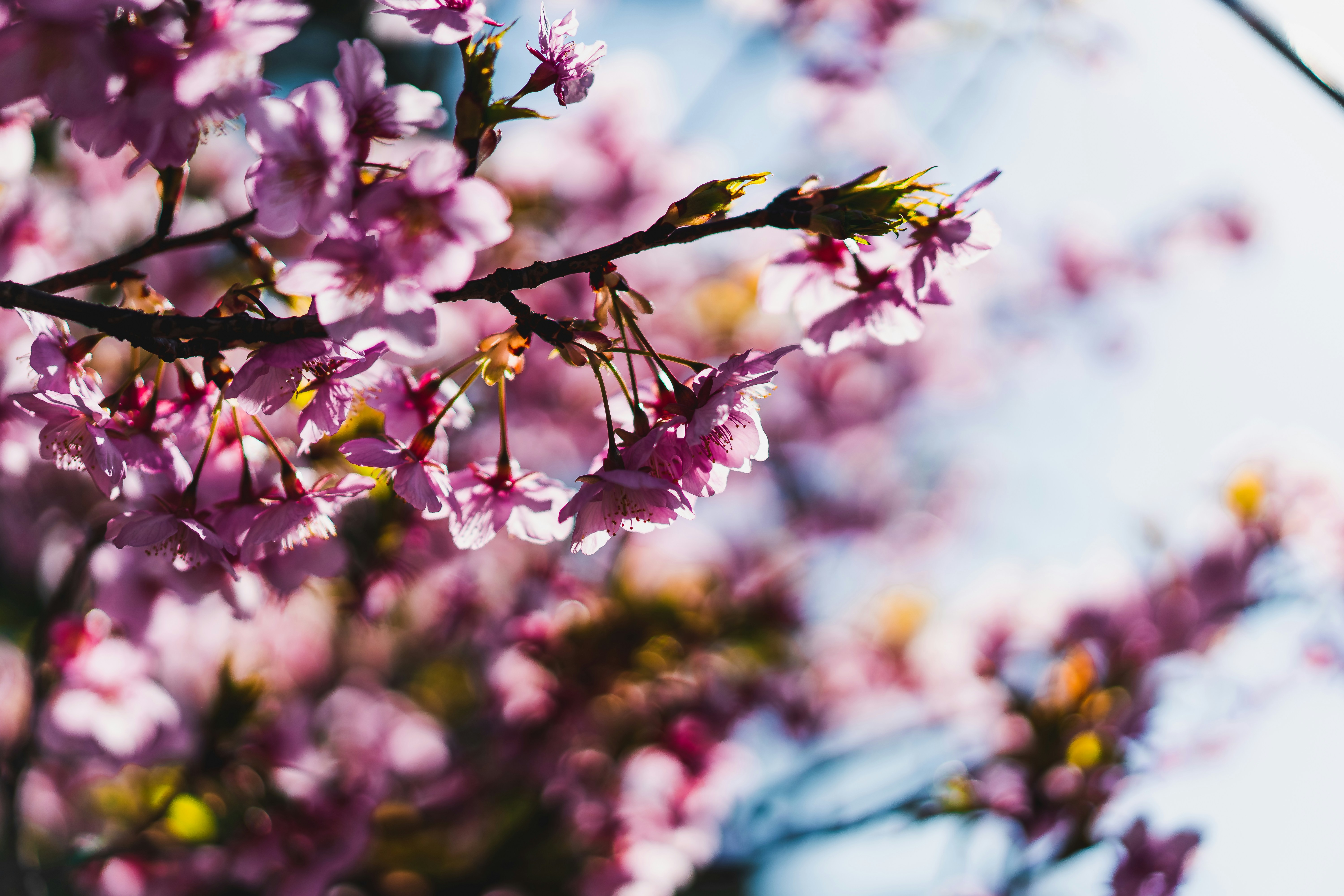 Photo by satoshin_73