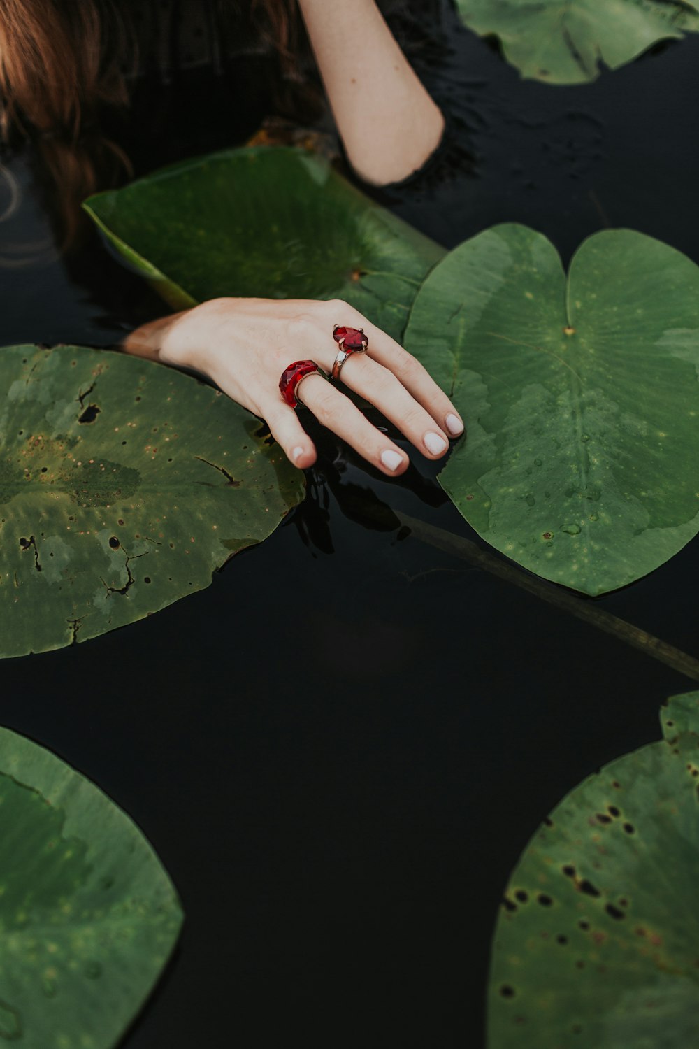 person holding green leaf with water droplets