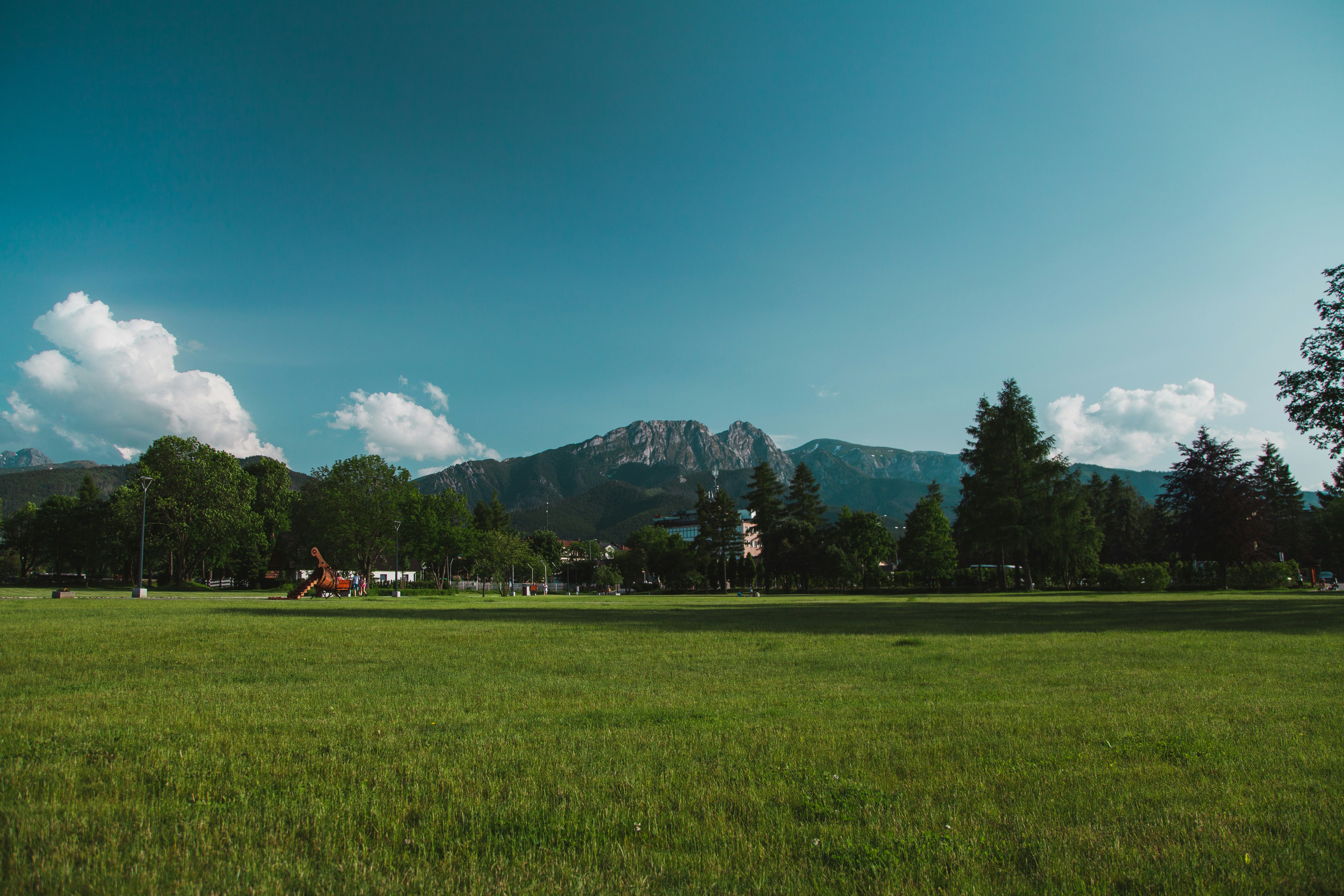 Photo by deni_eliash