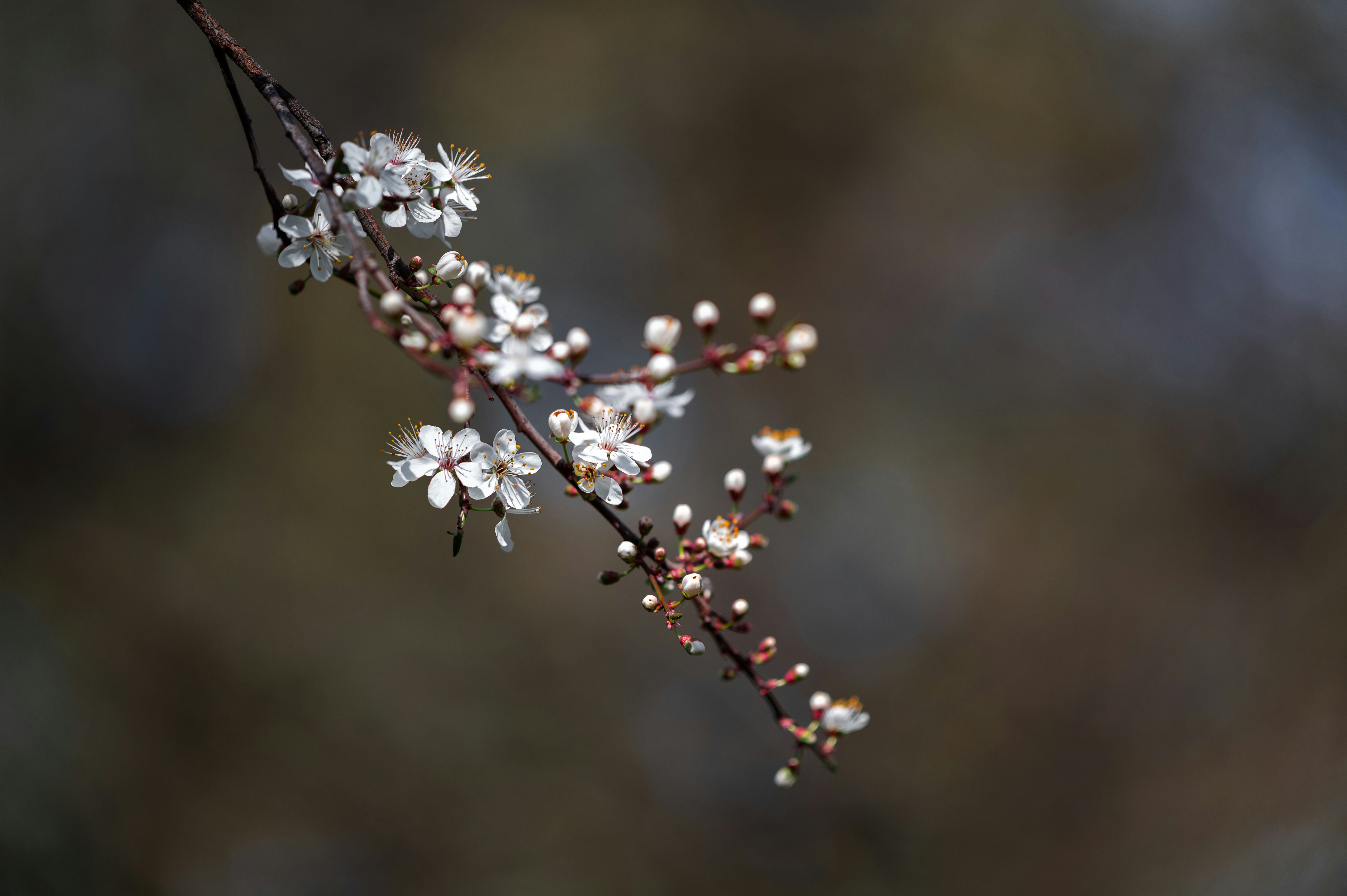 Photo by andreasbrun