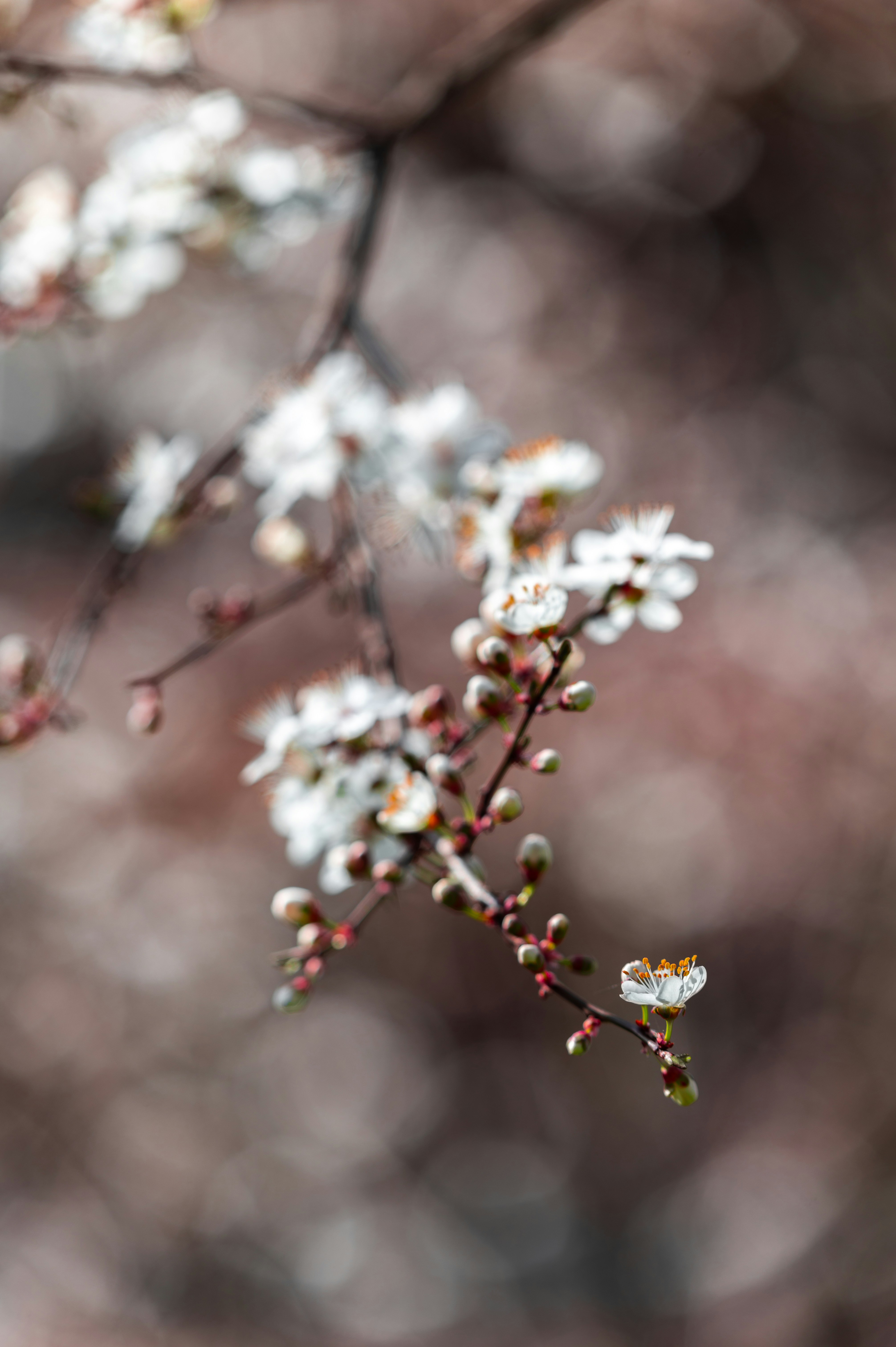 Photo by andreasbrun