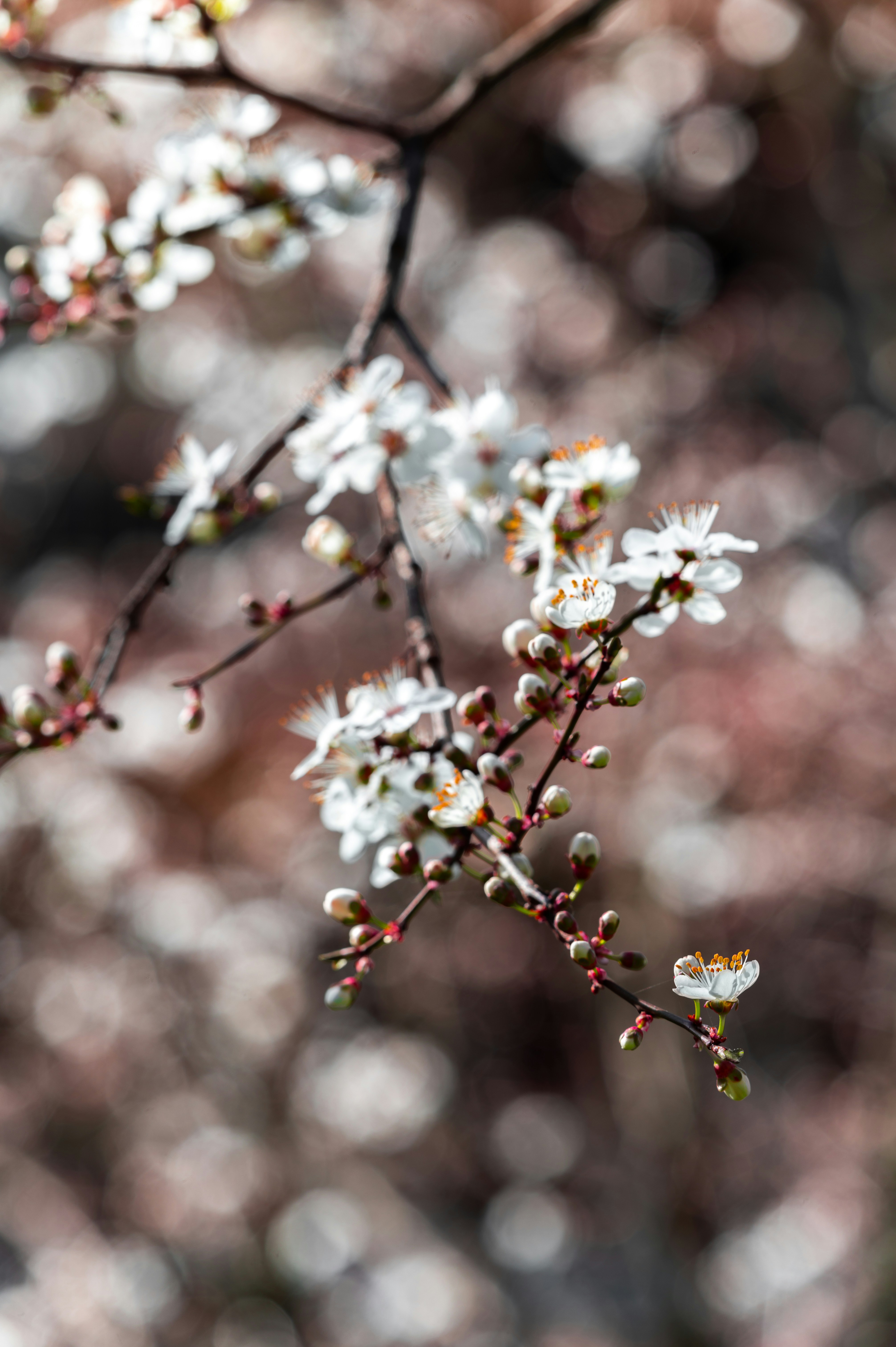 Photo by andreasbrun