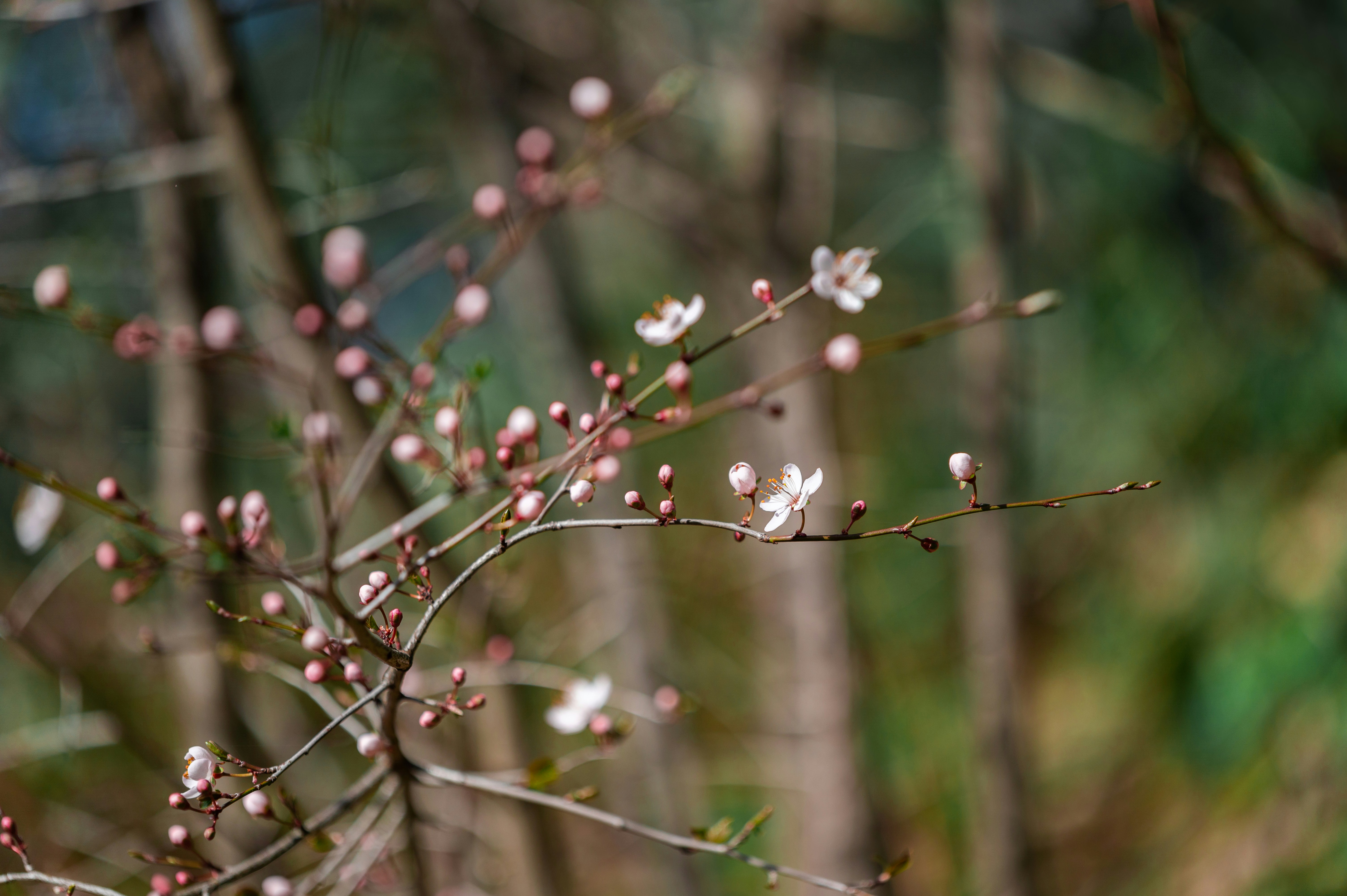 Photo by andreasbrun