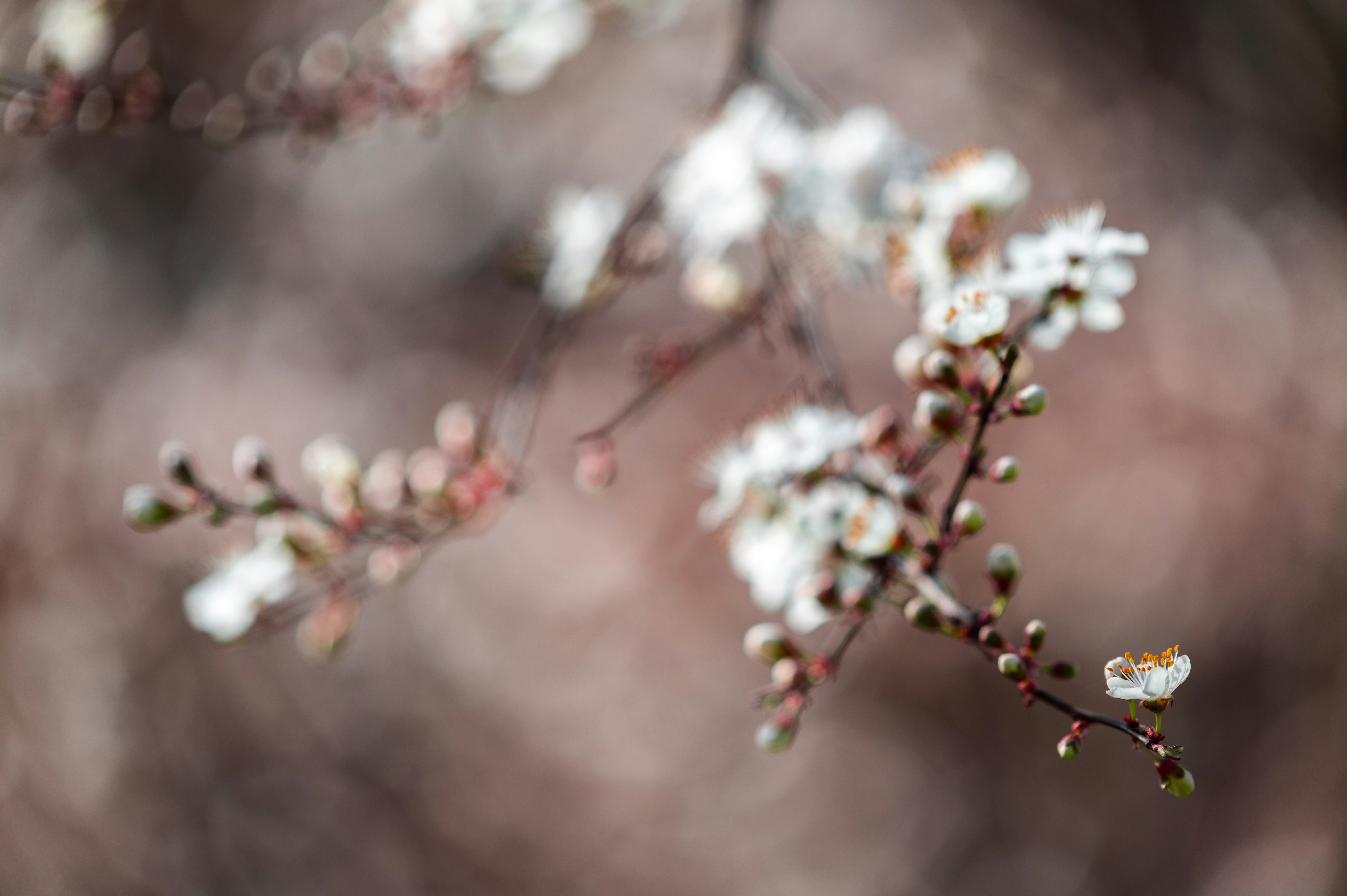 Photo by andreasbrun