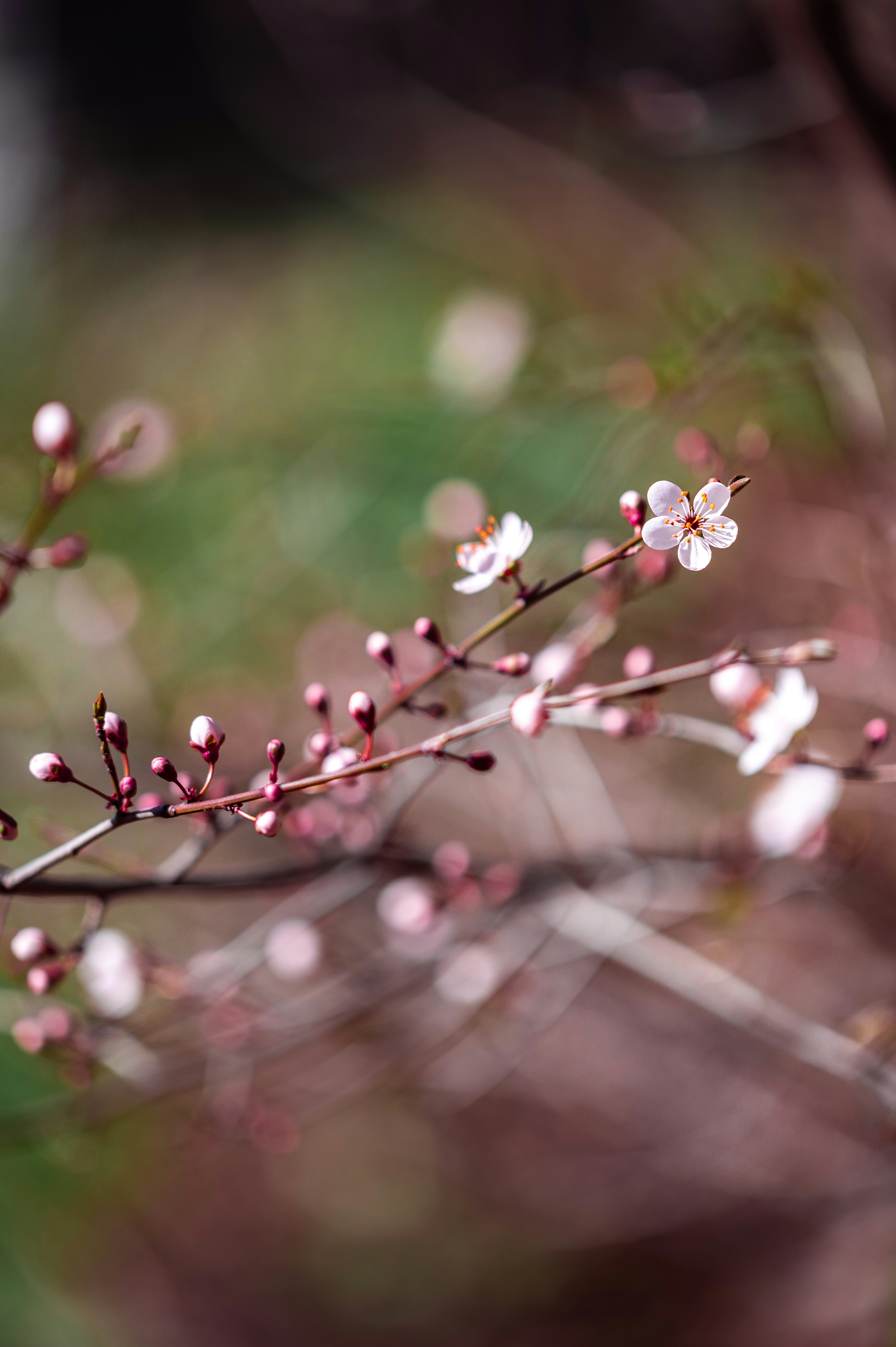 Photo by andreasbrun