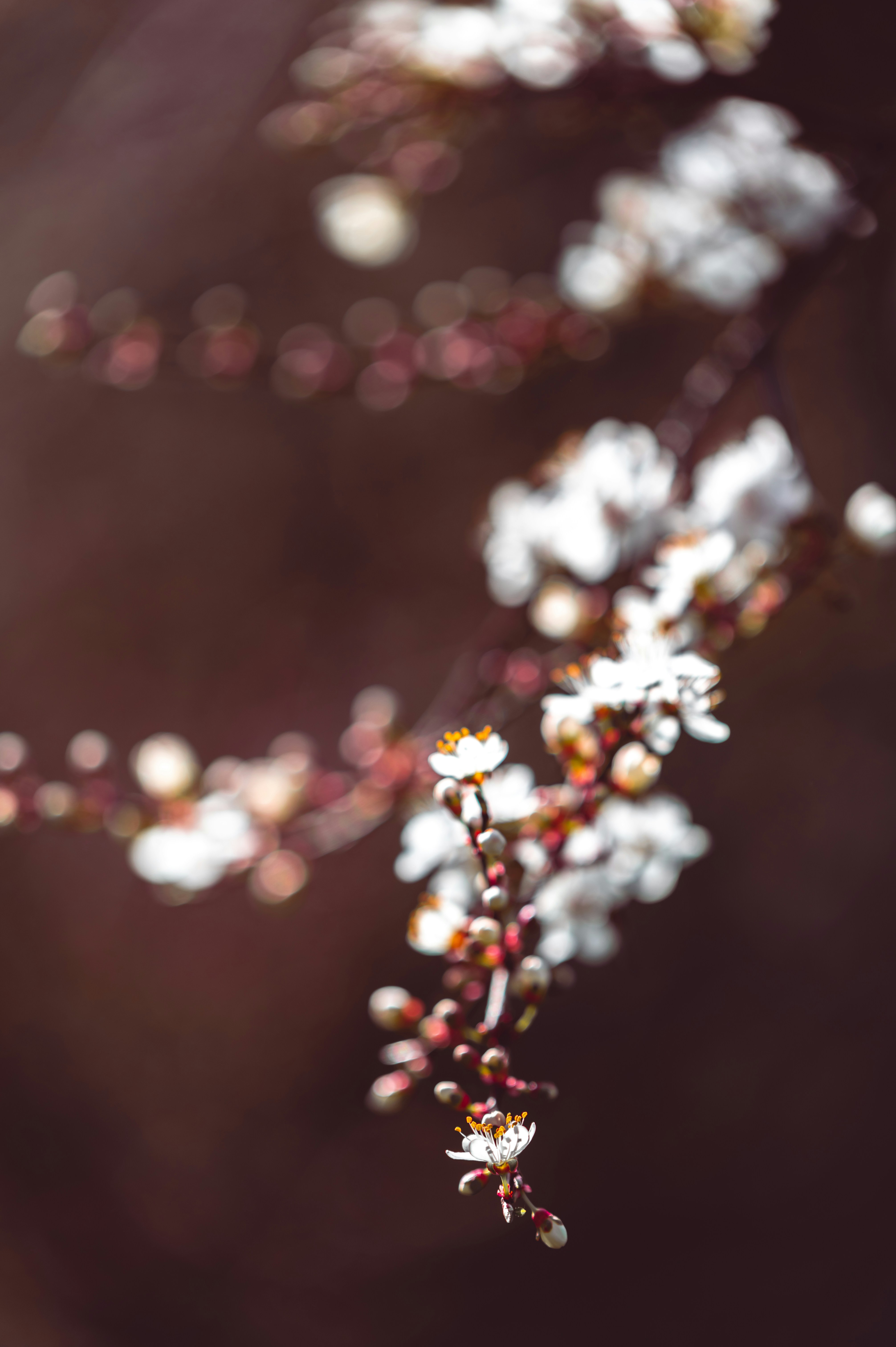 Photo by andreasbrun