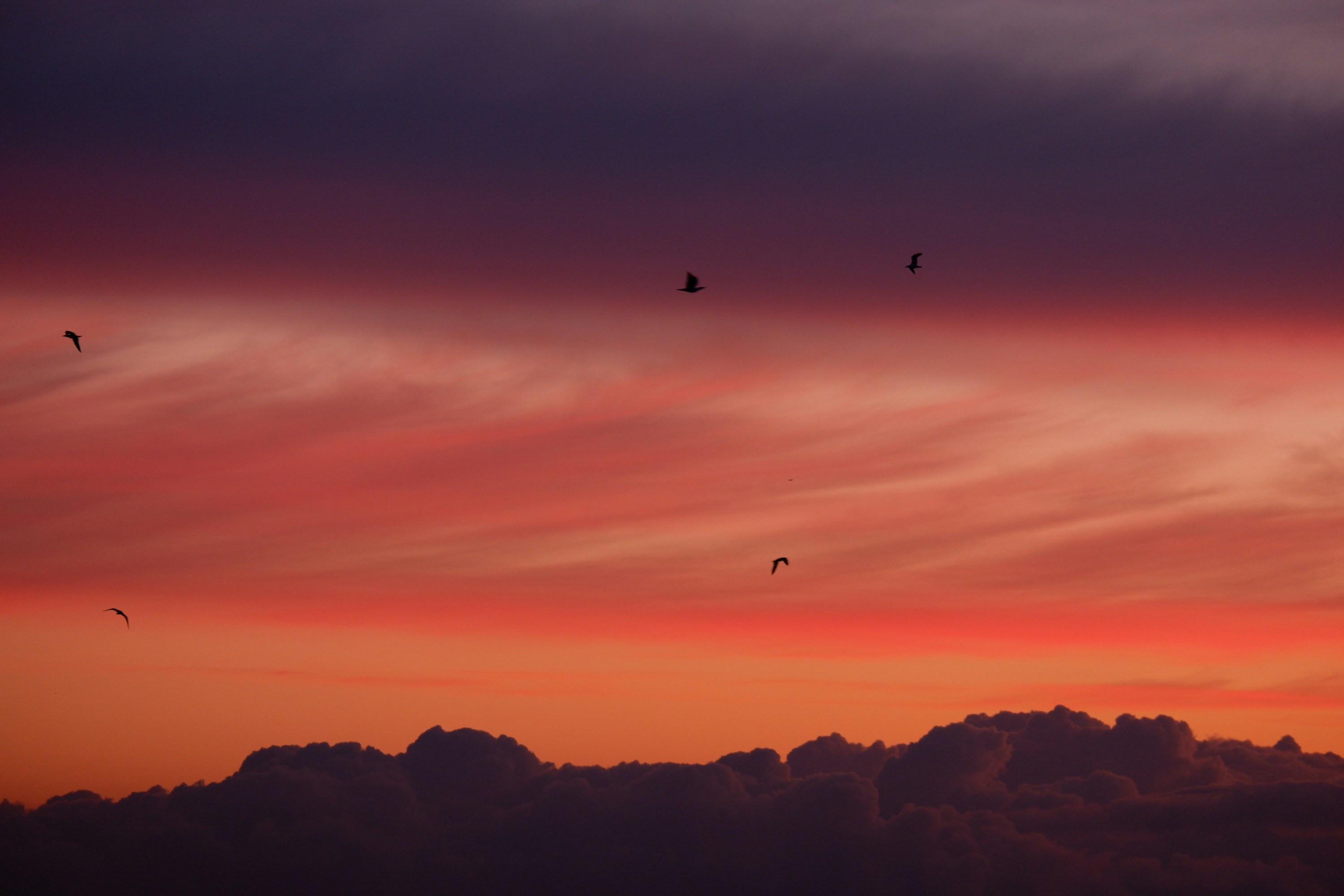 Photo by agrep