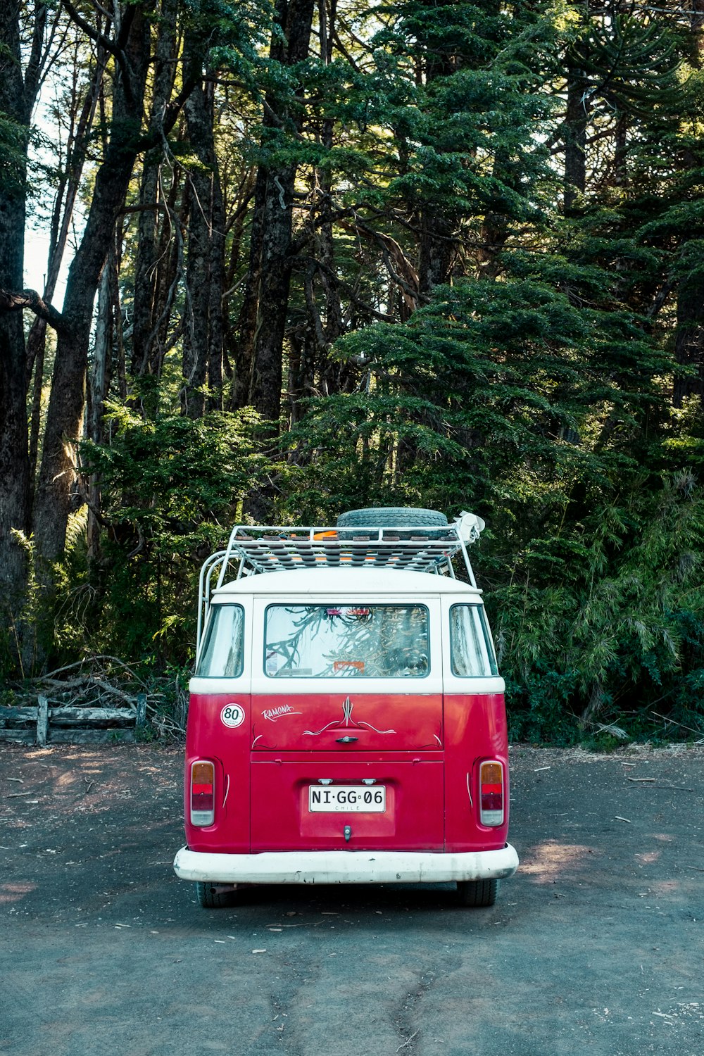 Volkswagen T-2 rossa e bianca nel bosco