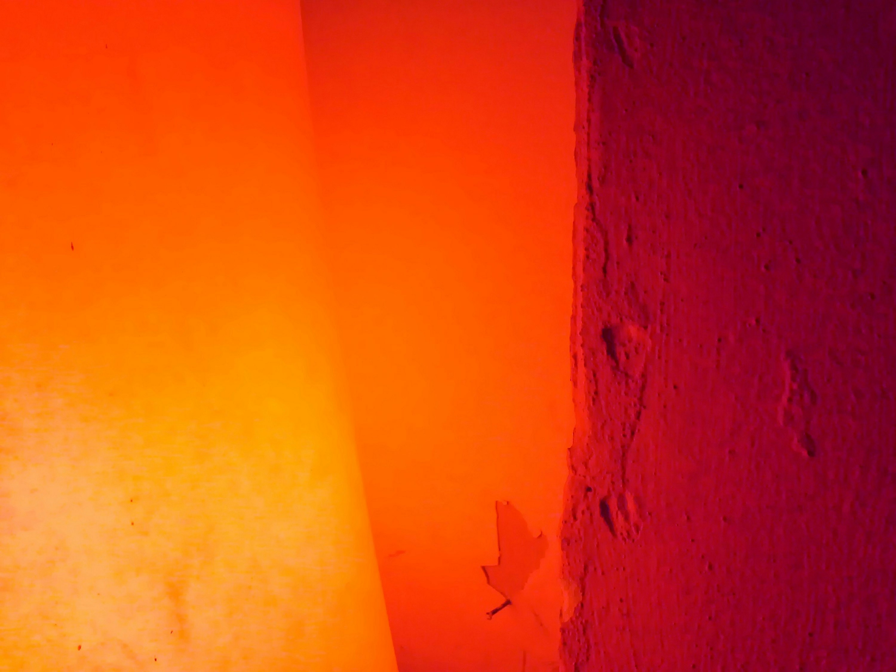 Local regulations for short-term rentals