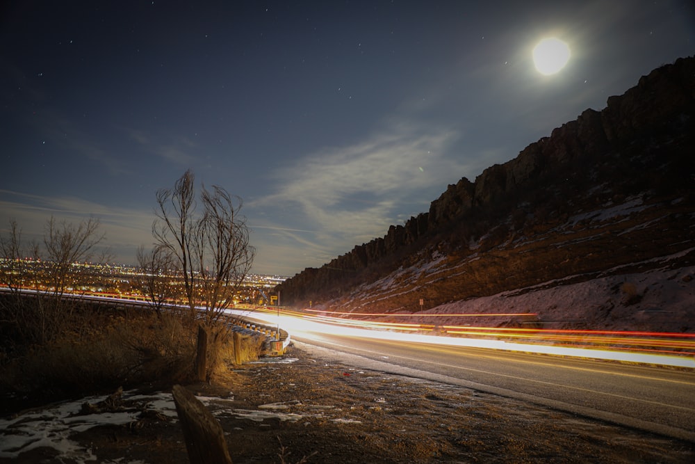 road between brown trees during night time