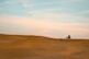 people riding camel on desert during daytime
