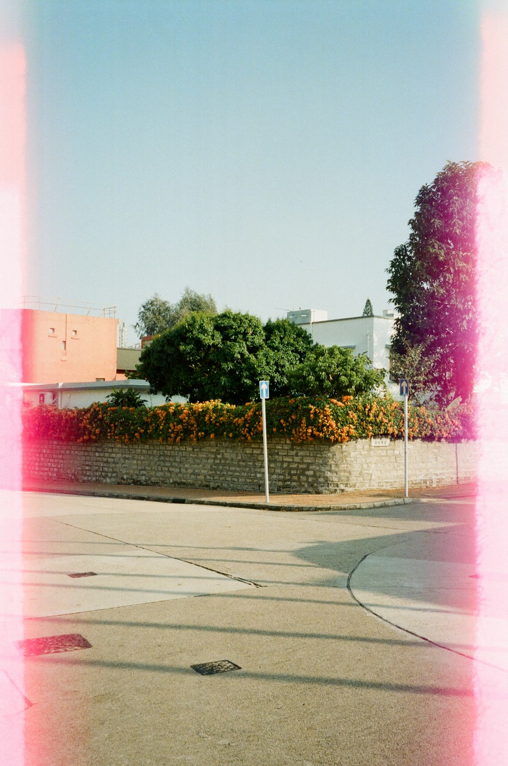 green trees near pink building during daytime