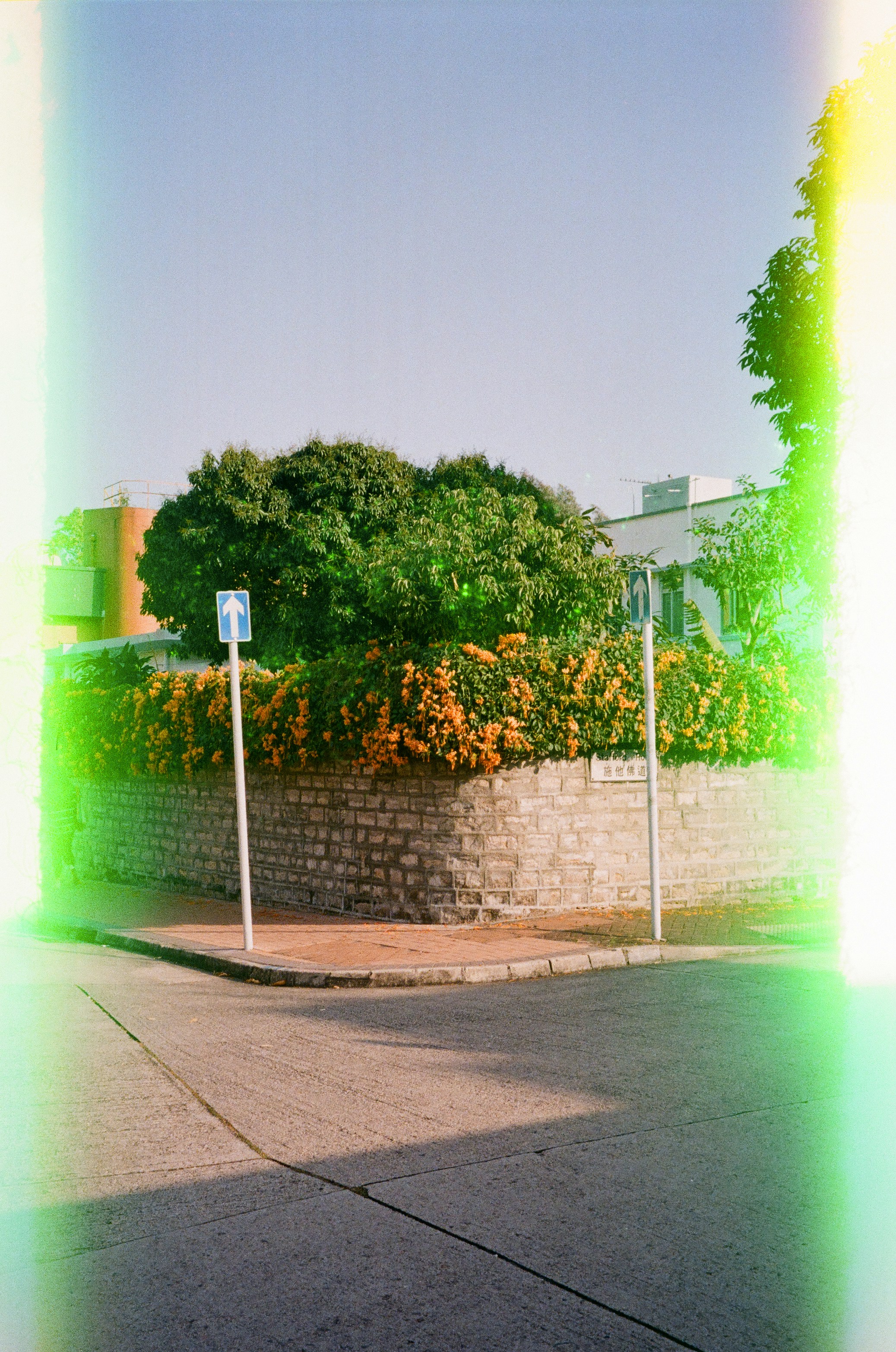 Photo by lysanderyuen