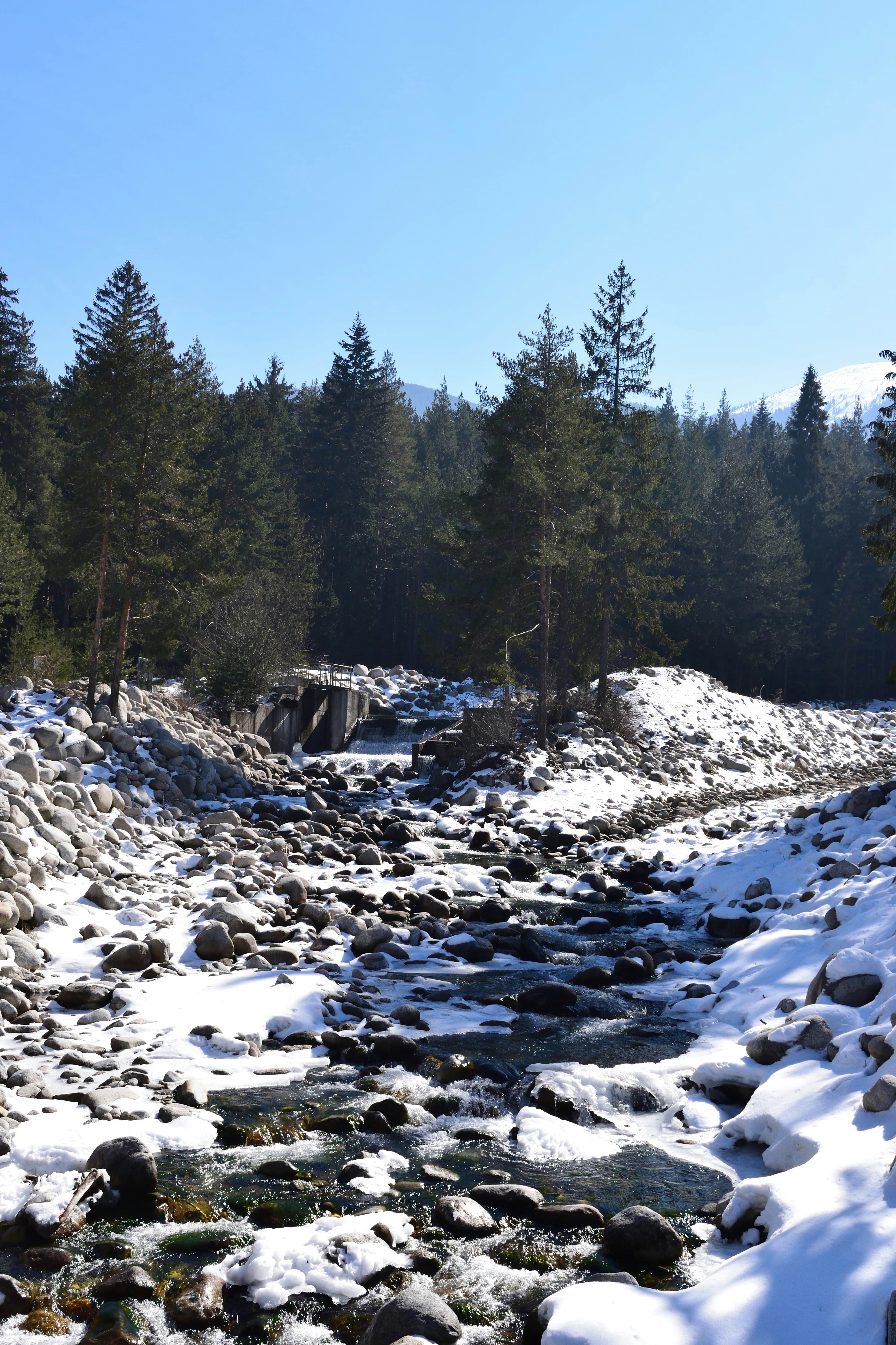 snow covered field and trees during daytime