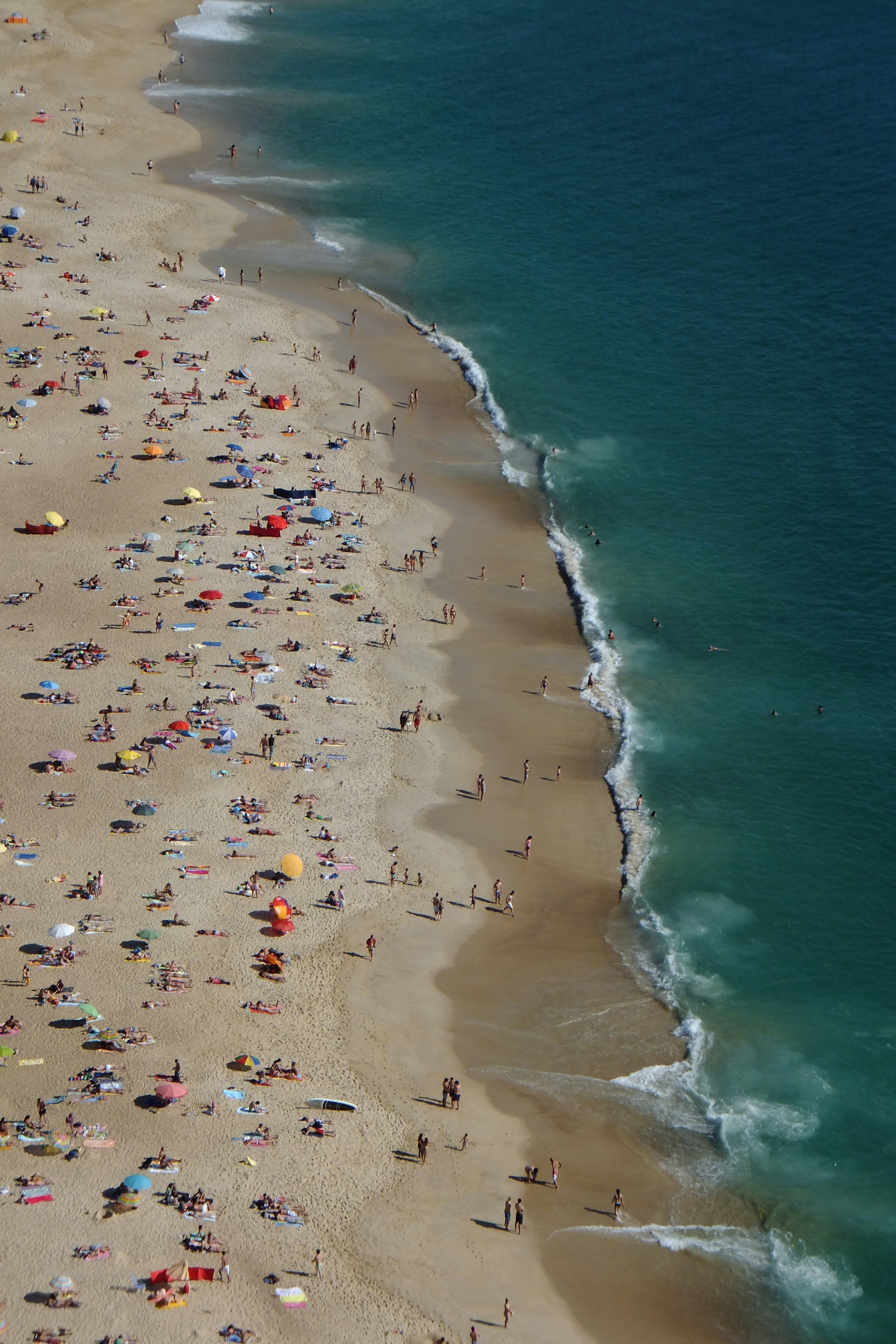 Photo by wilddreamersassociation