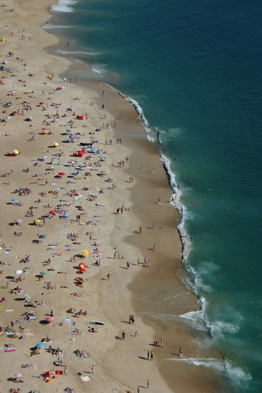 people on beach during daytime