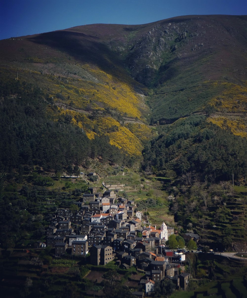 Montagnes vertes sous le ciel bleu pendant la journée