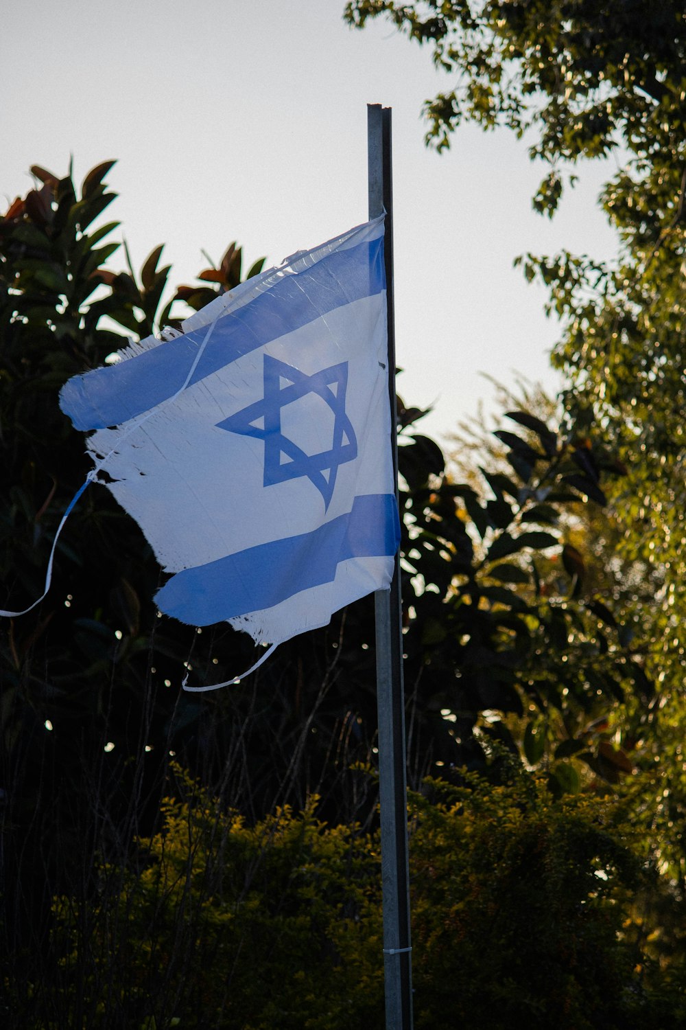 blue and white star flag photo – Free Flag Image on Unsplash