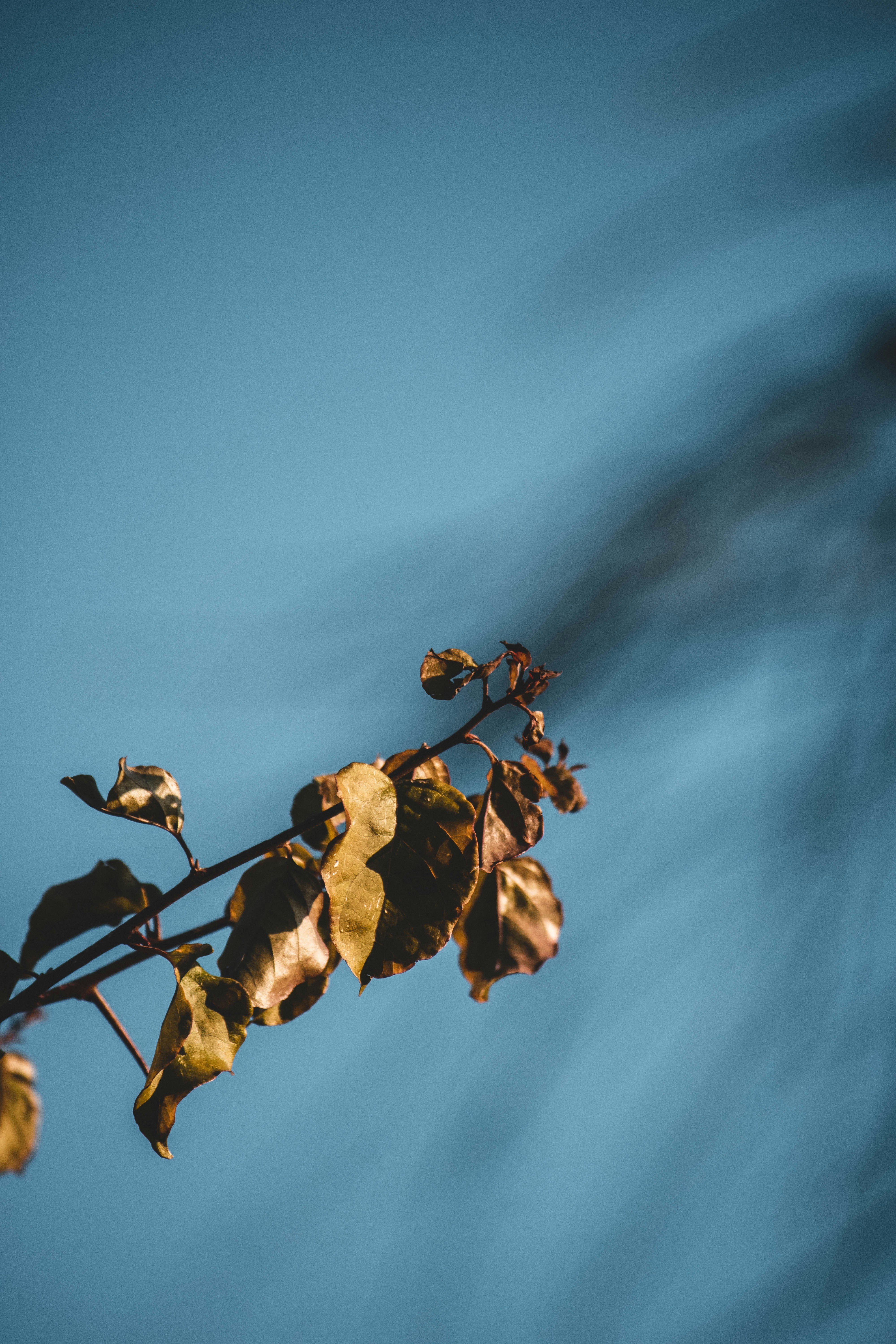 Photo by itaypeer