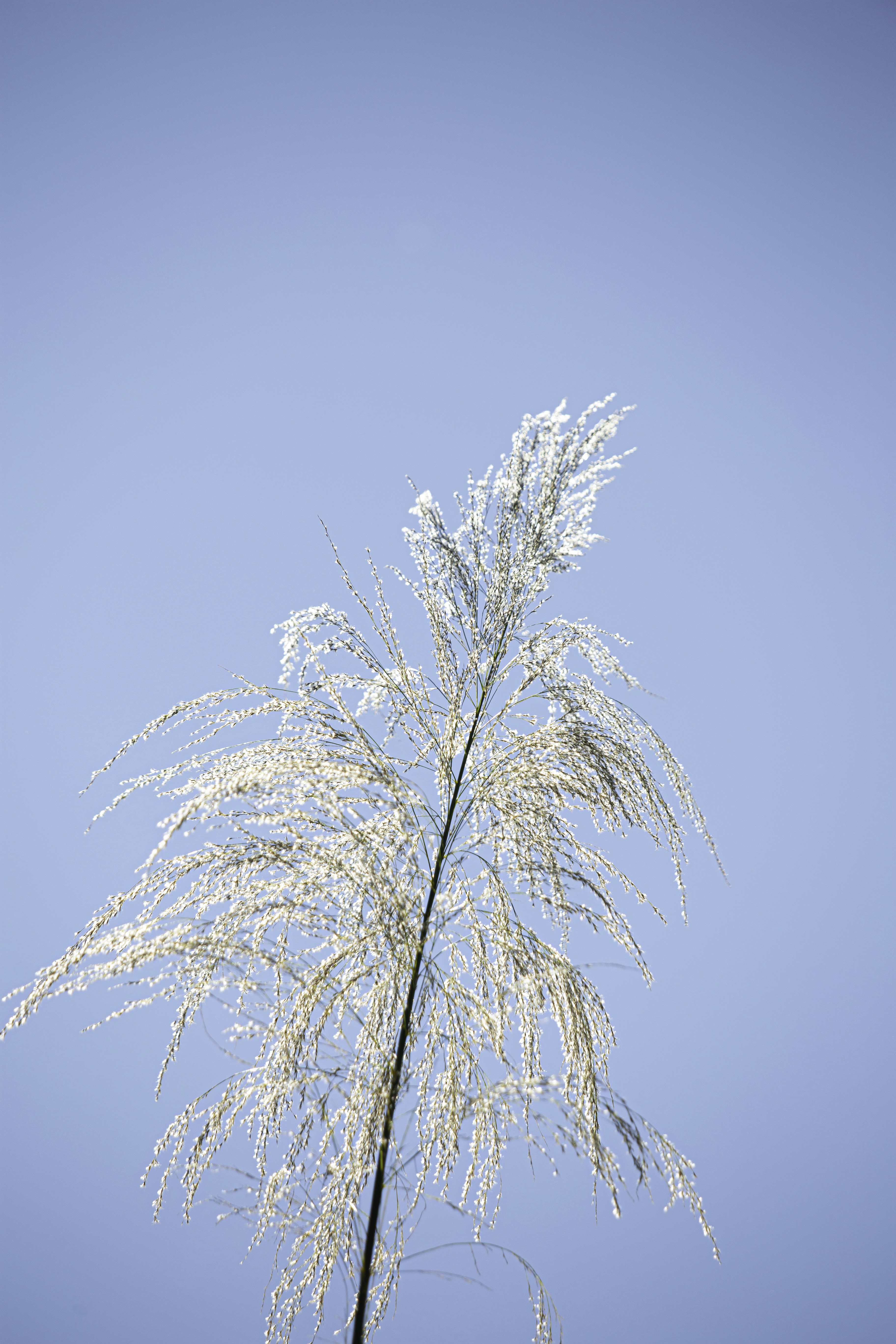 Photo by hectorfalcon