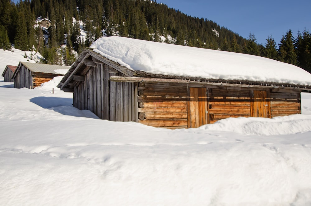Casa di legno marrone sul terreno coperto di neve