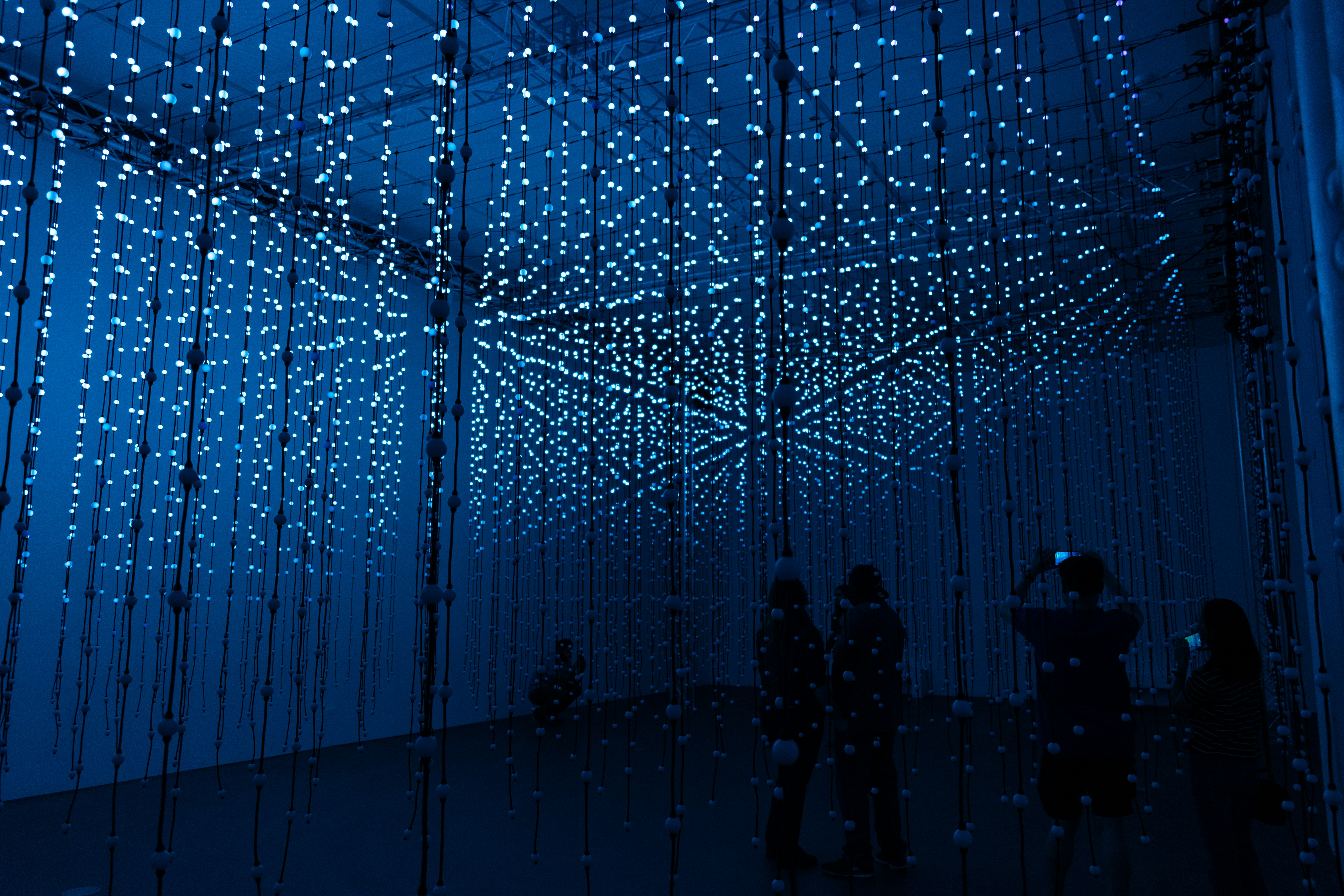 silhouette of people standing near blue string lights