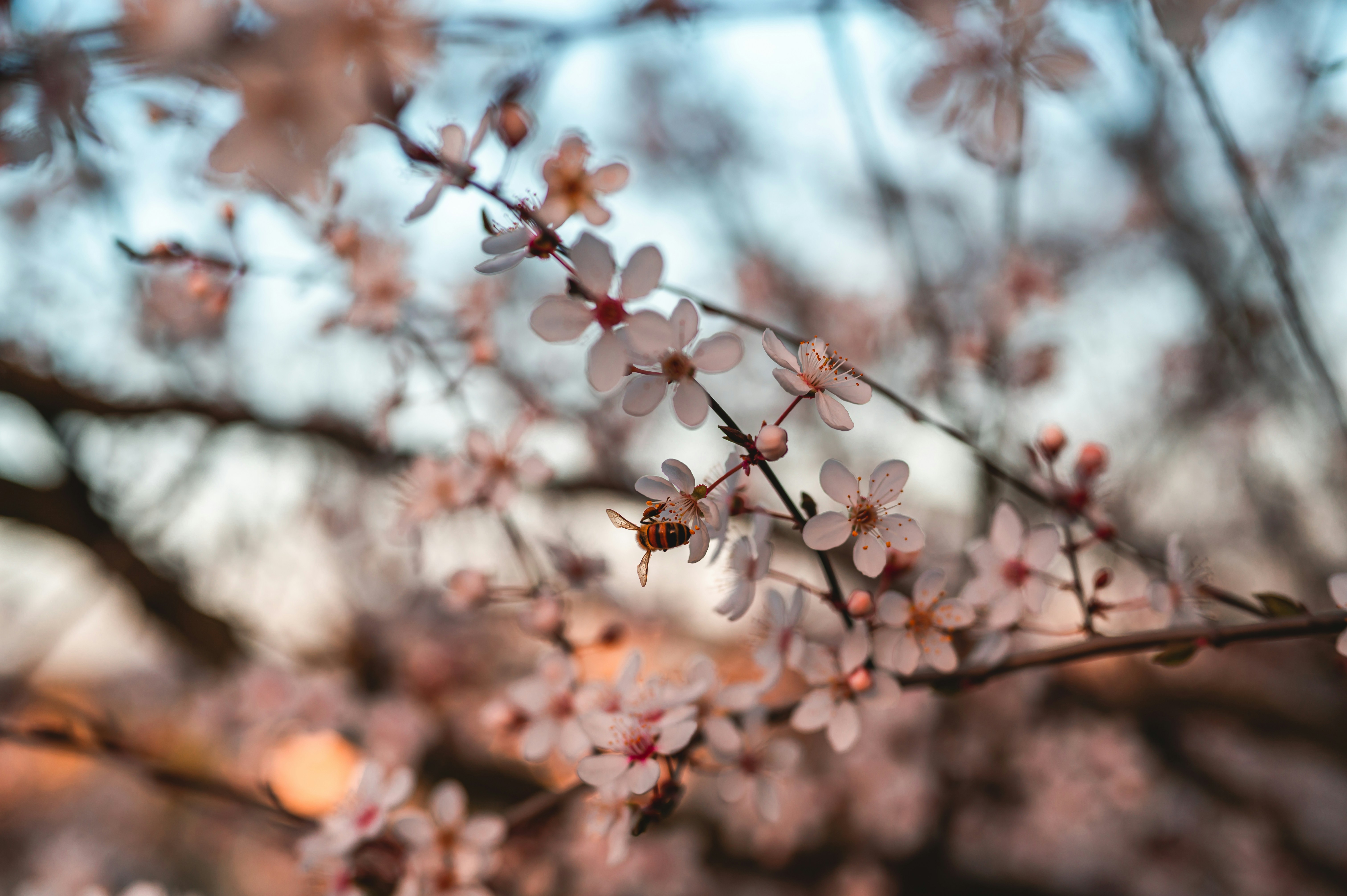 Photo by andreasbrun