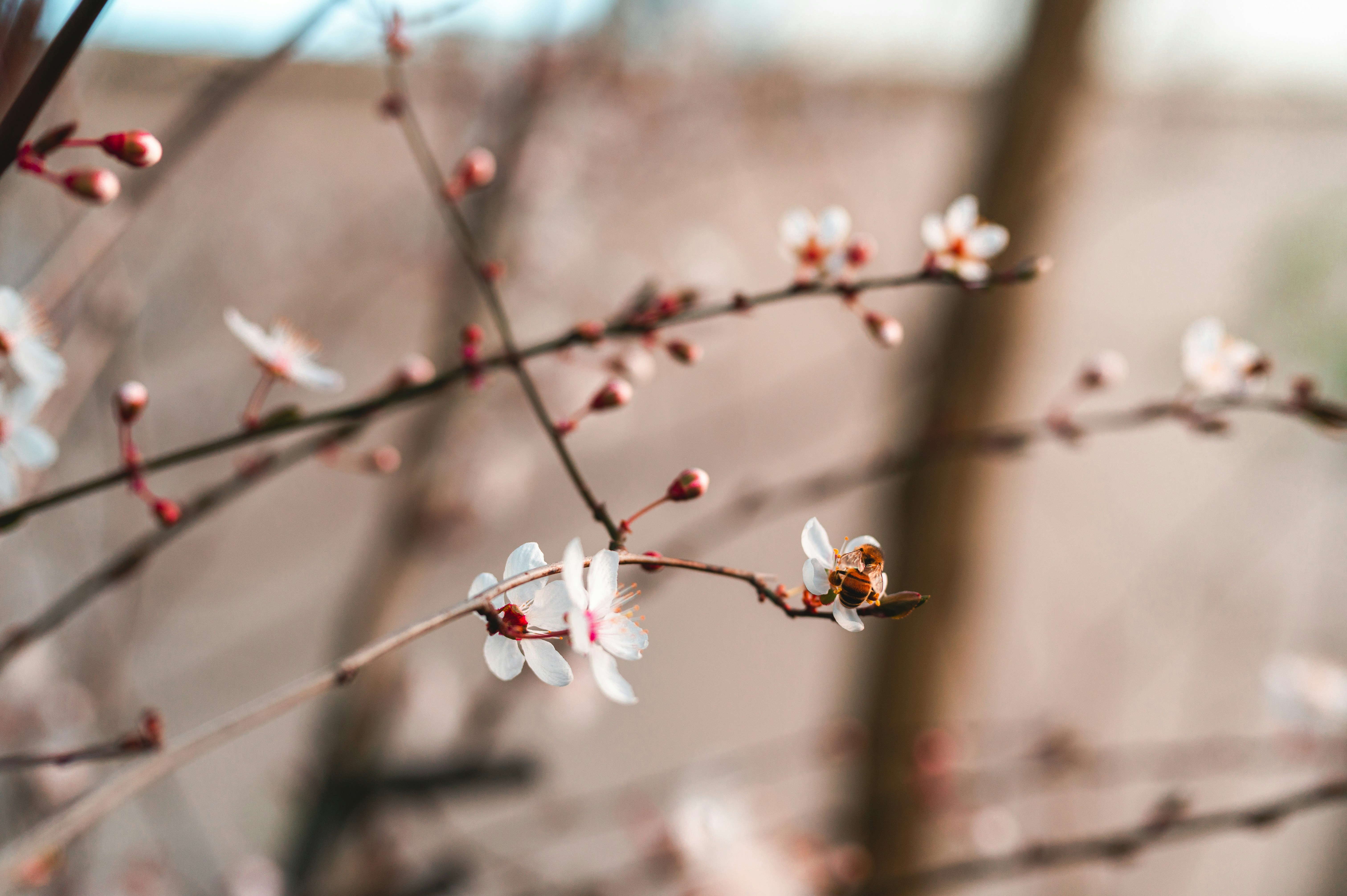 Photo by andreasbrun